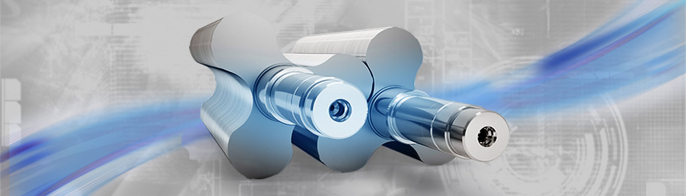 RBS Rotary Lobe Blower Service Kits