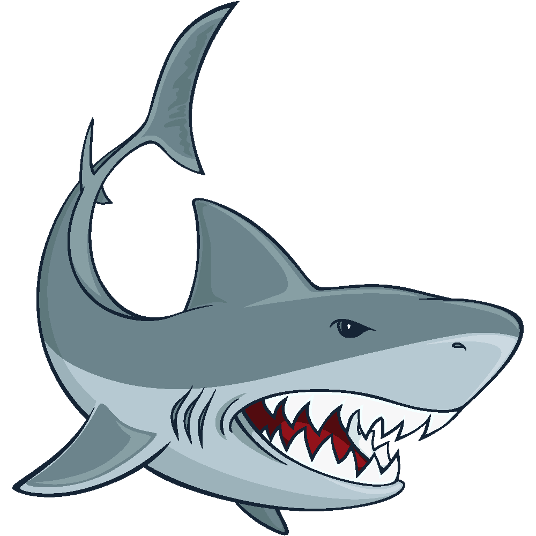 Shark Mouth Open