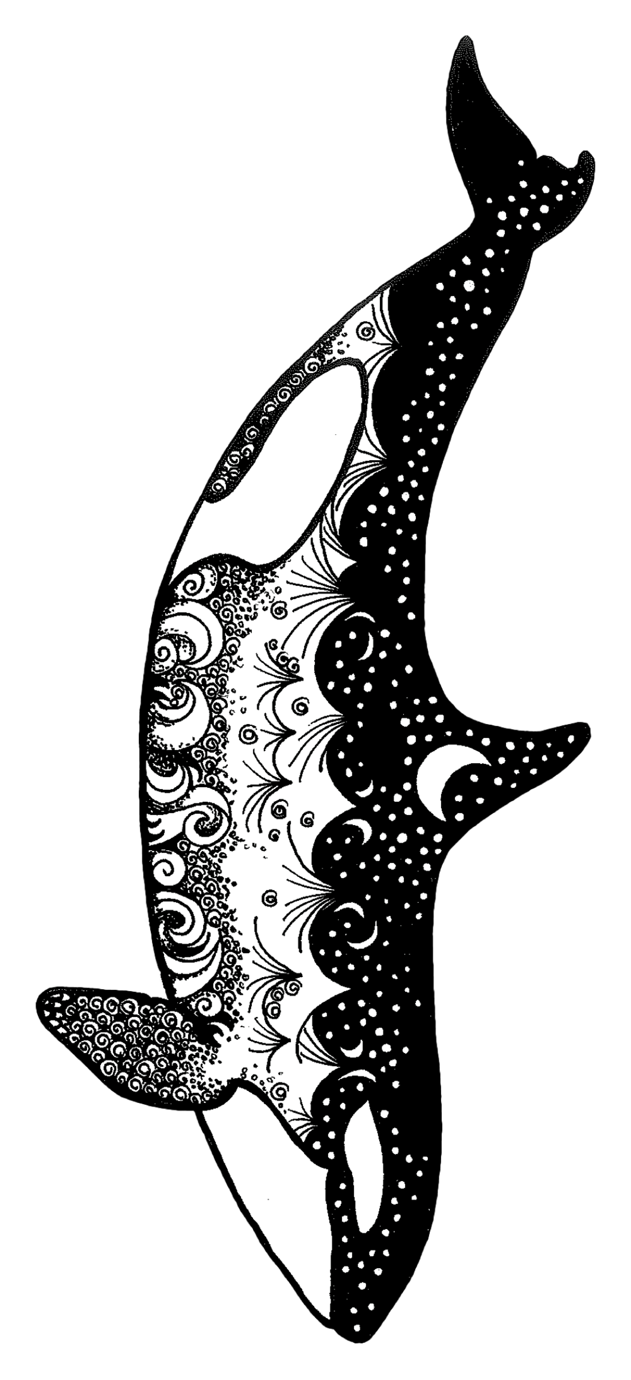 Brenna-Anderst-Whale.png