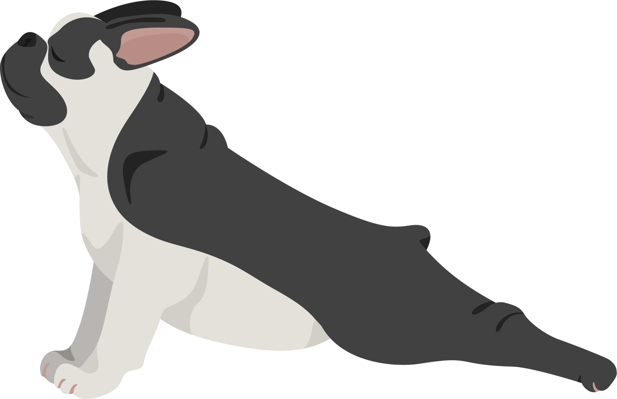 That Girl Dog Stretch