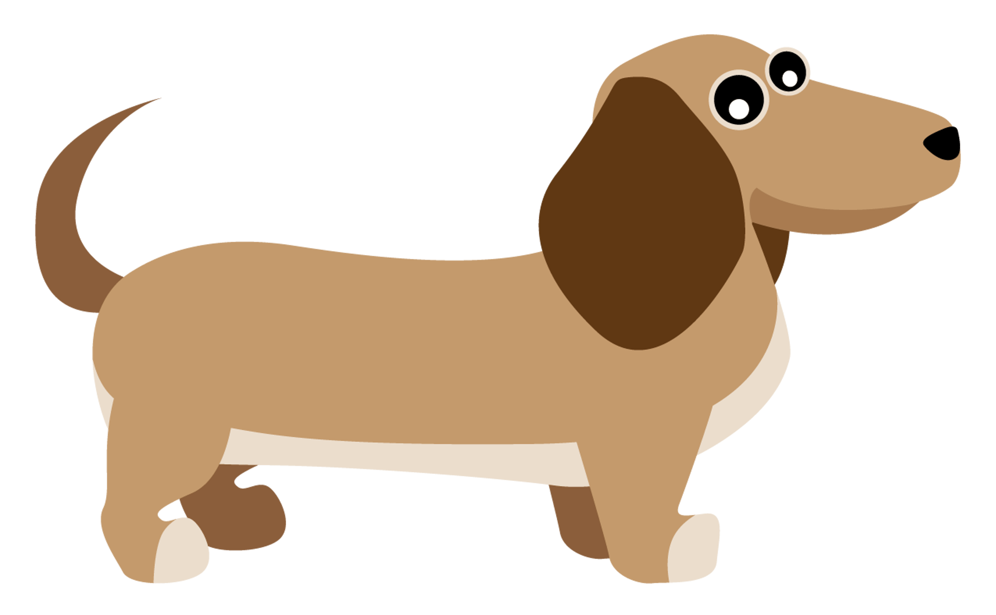 Wiener Dog