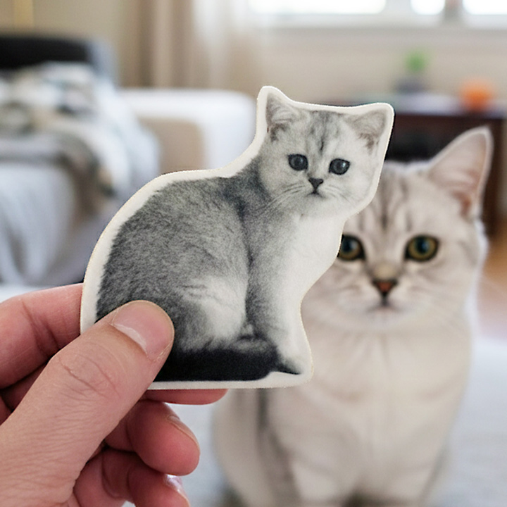 Fuzzy Stickers