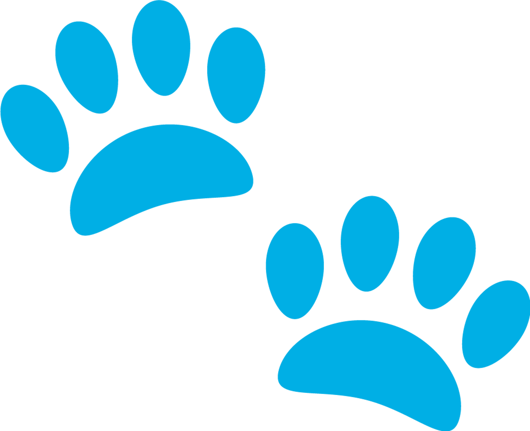 Paws