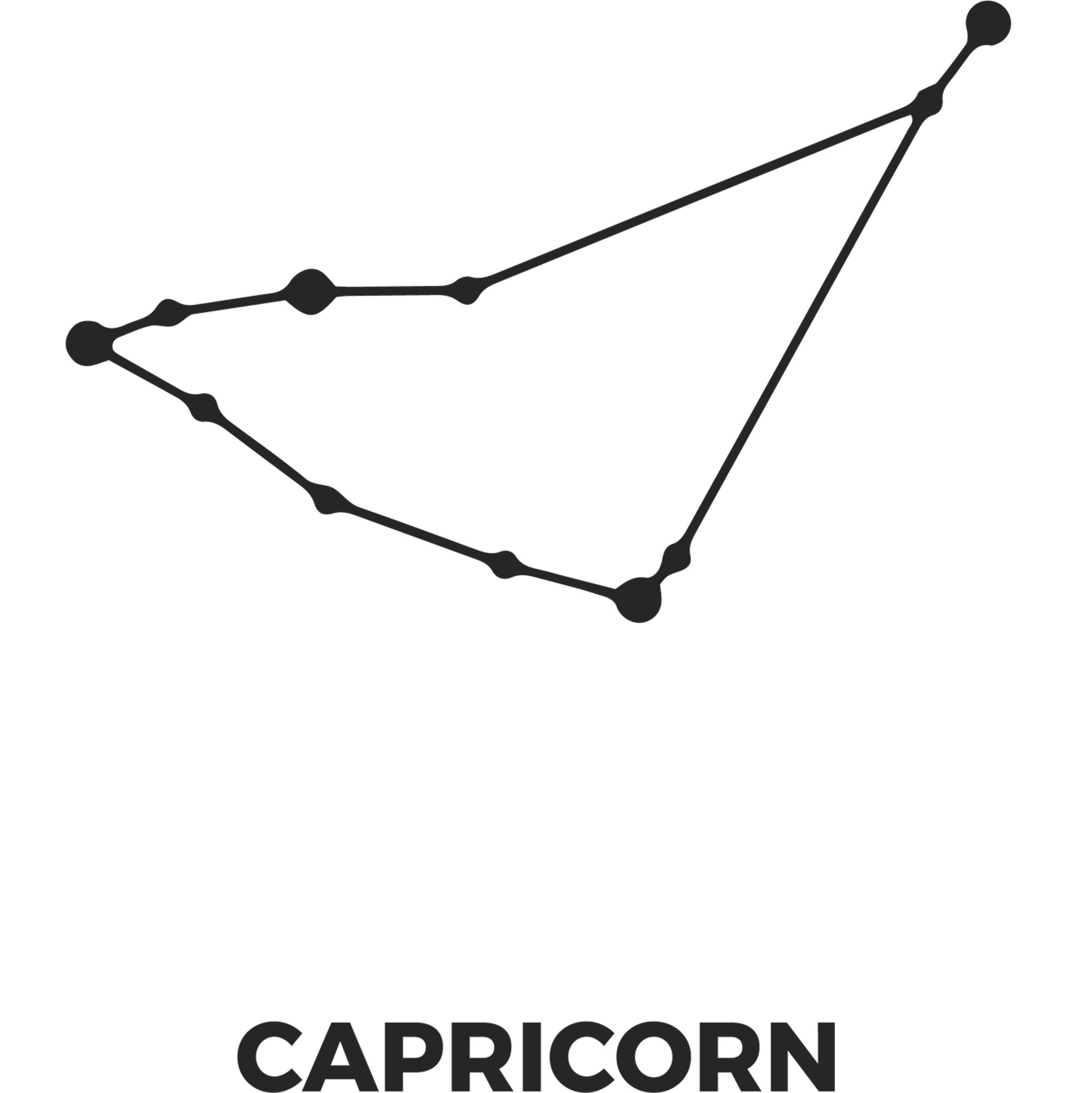 Zodiac Stars Capricorn