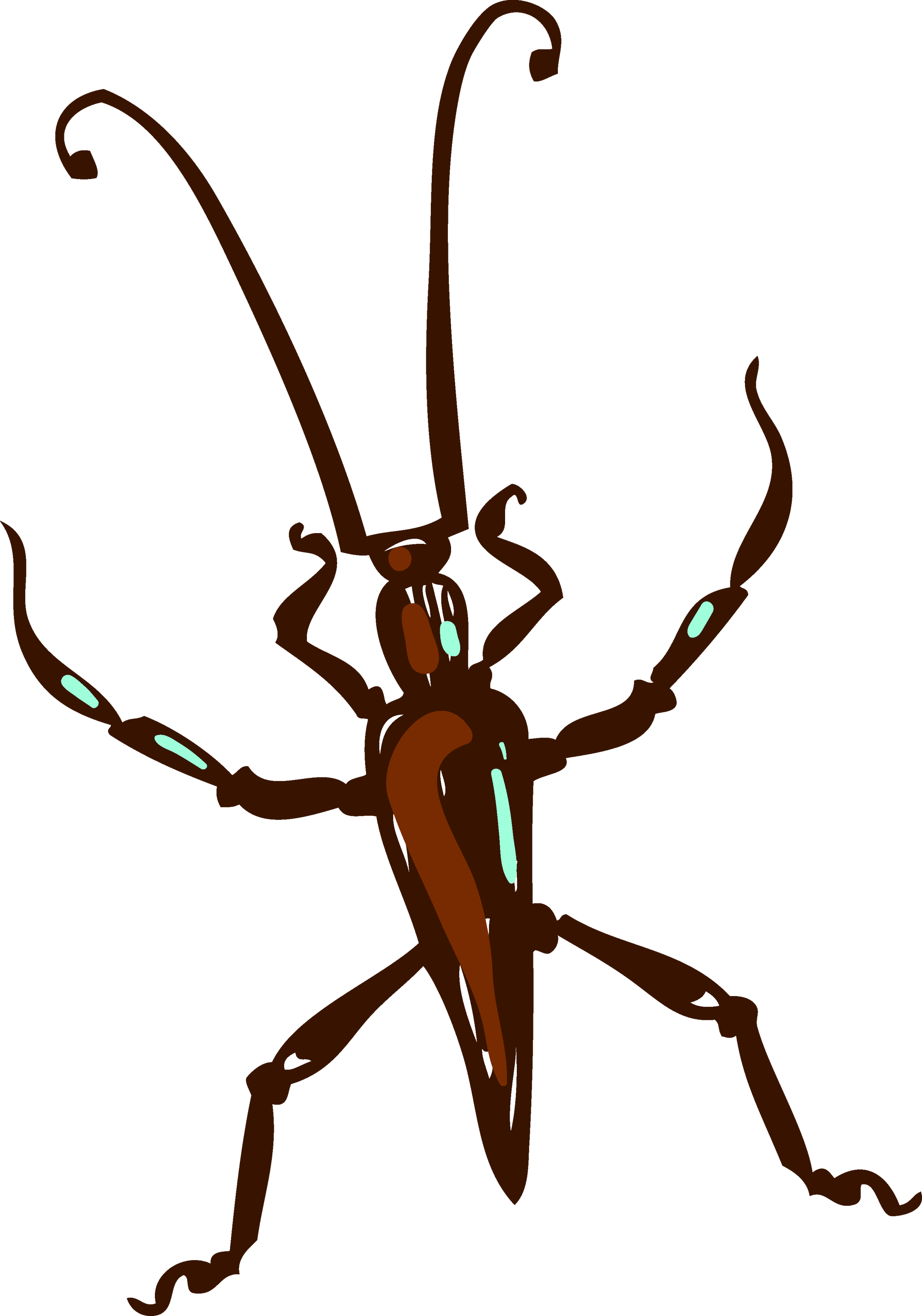 Beetle