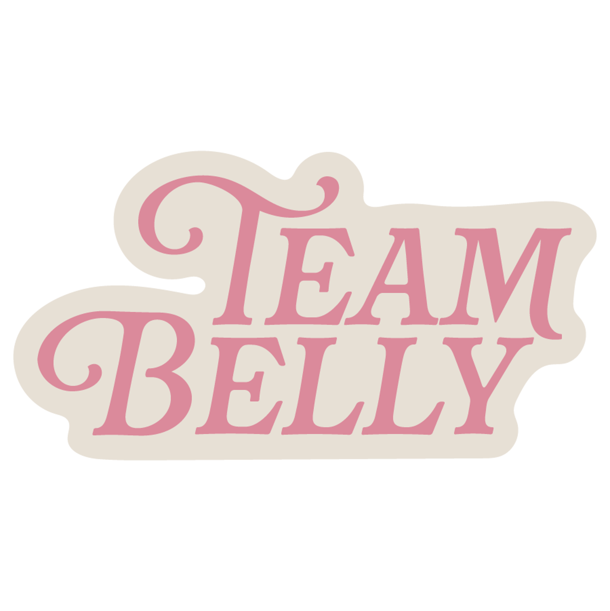 The Summer I Turned Pretty - Team Belly