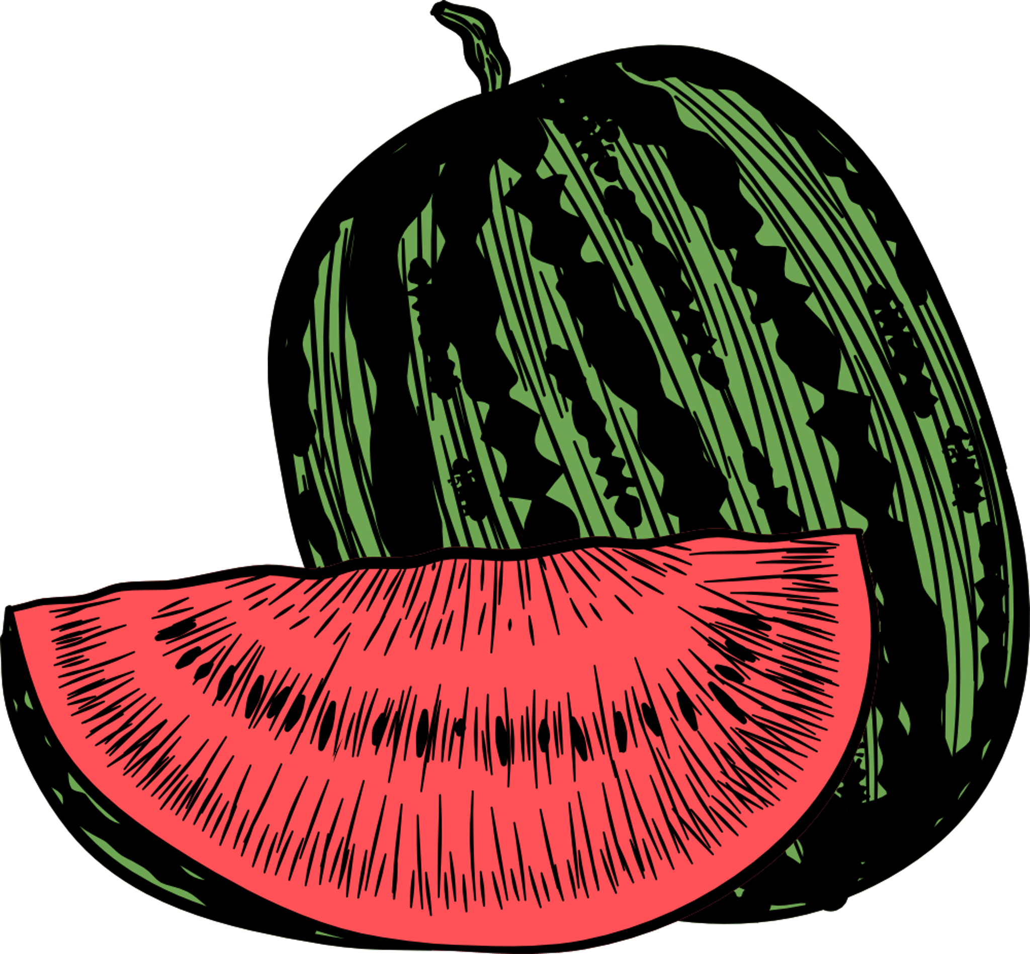 Watermelon Illustration
