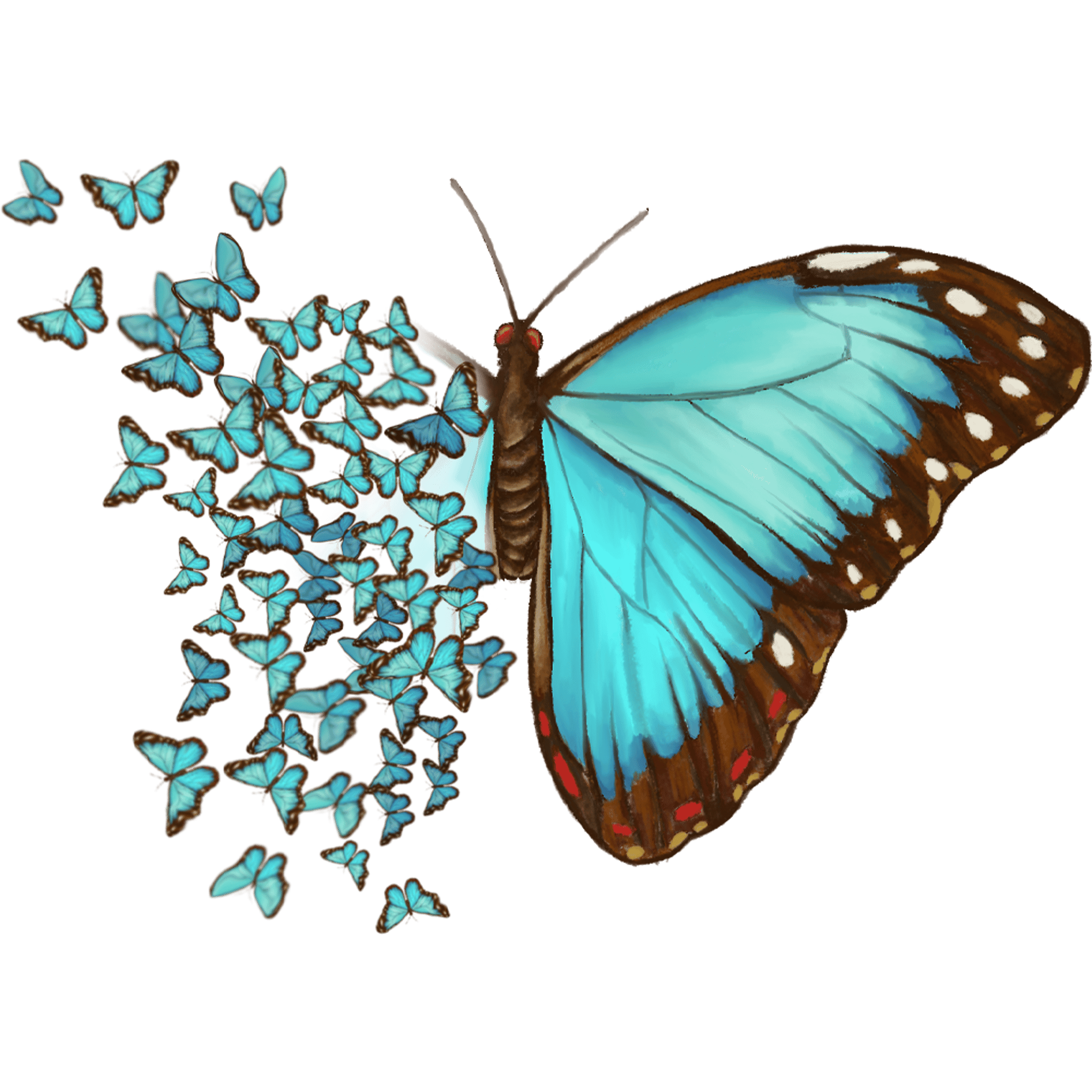 Aesthetic Butterfly Explosion
