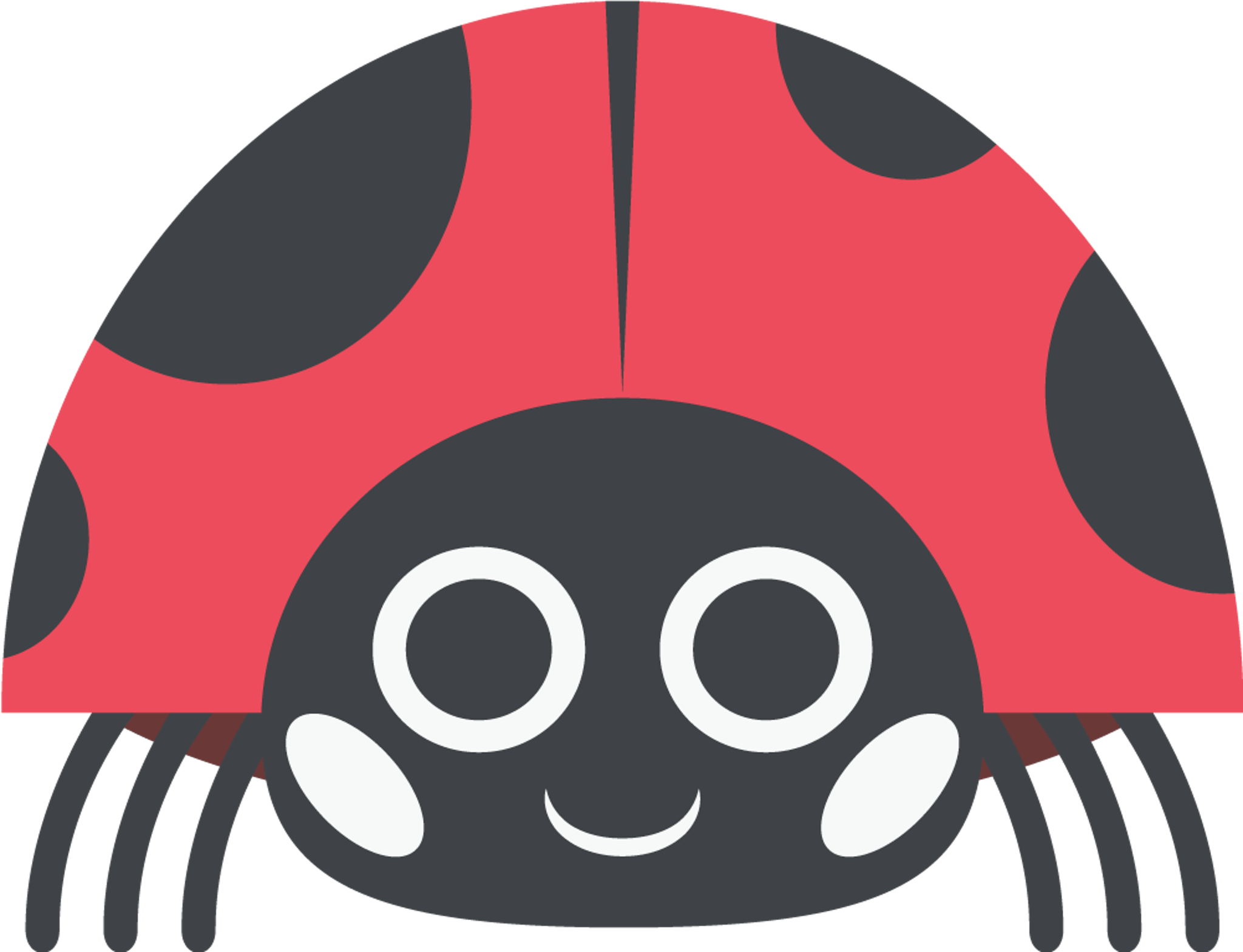 Ladybug