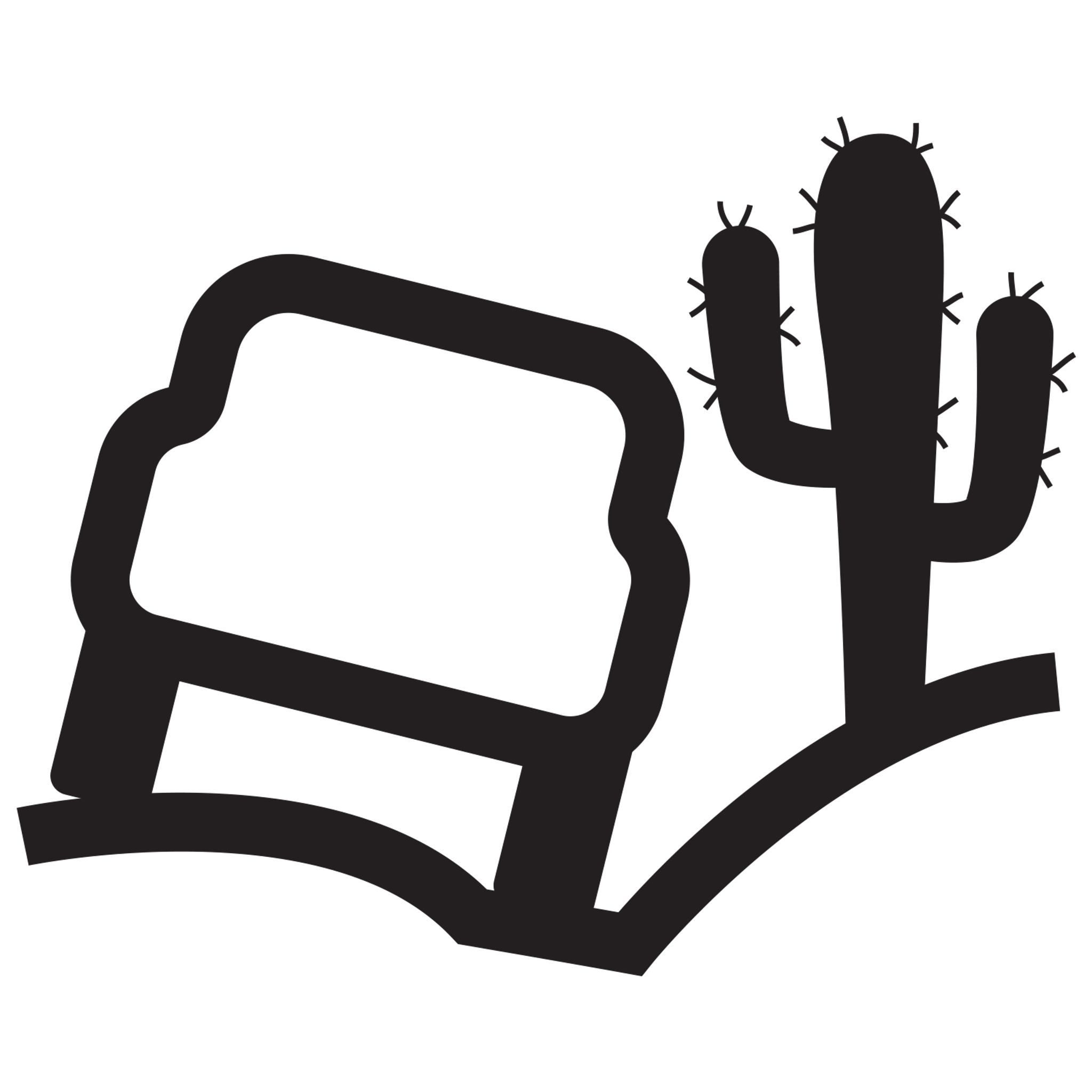 Terrain Response Icon 4
