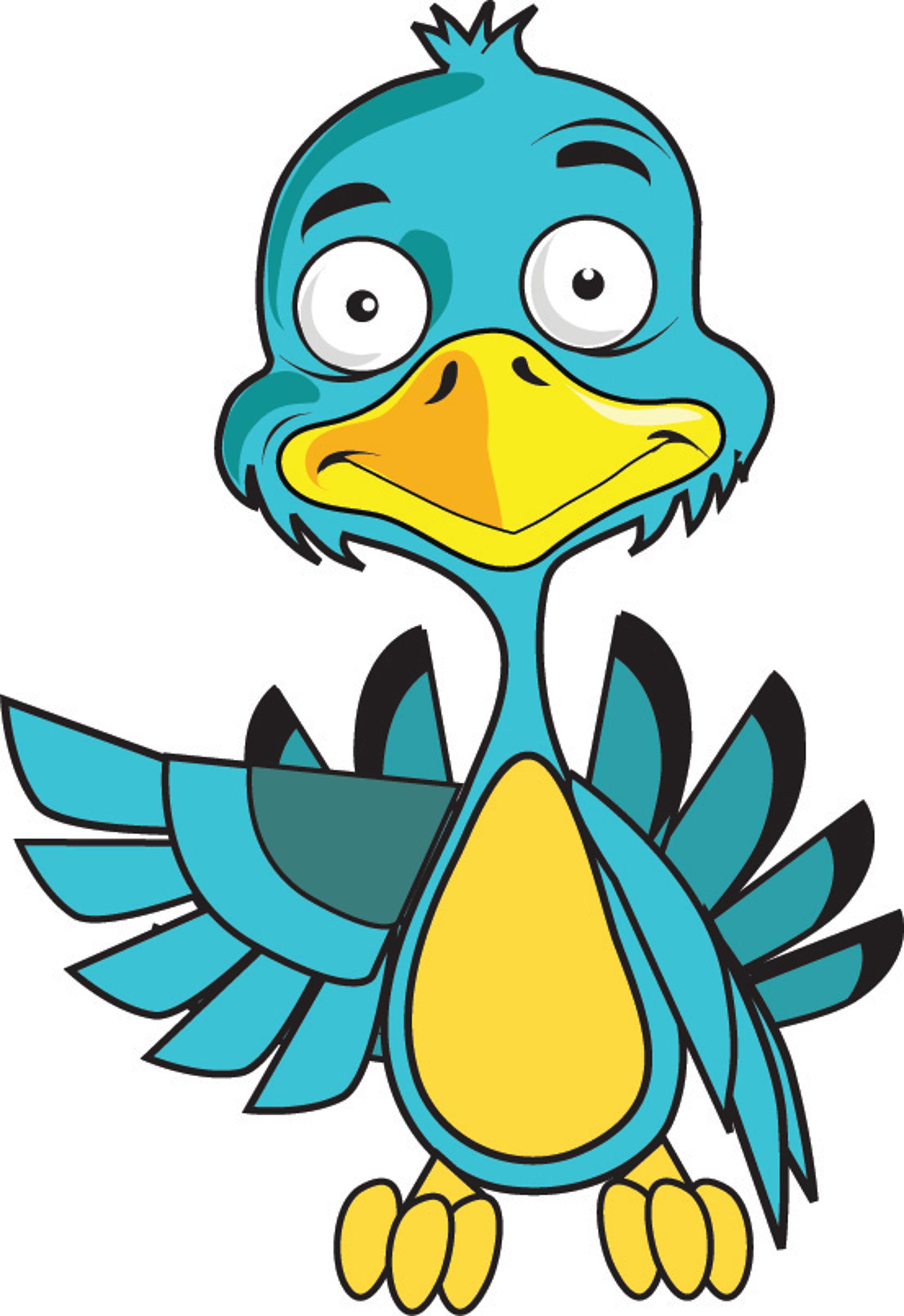 bird.jpg