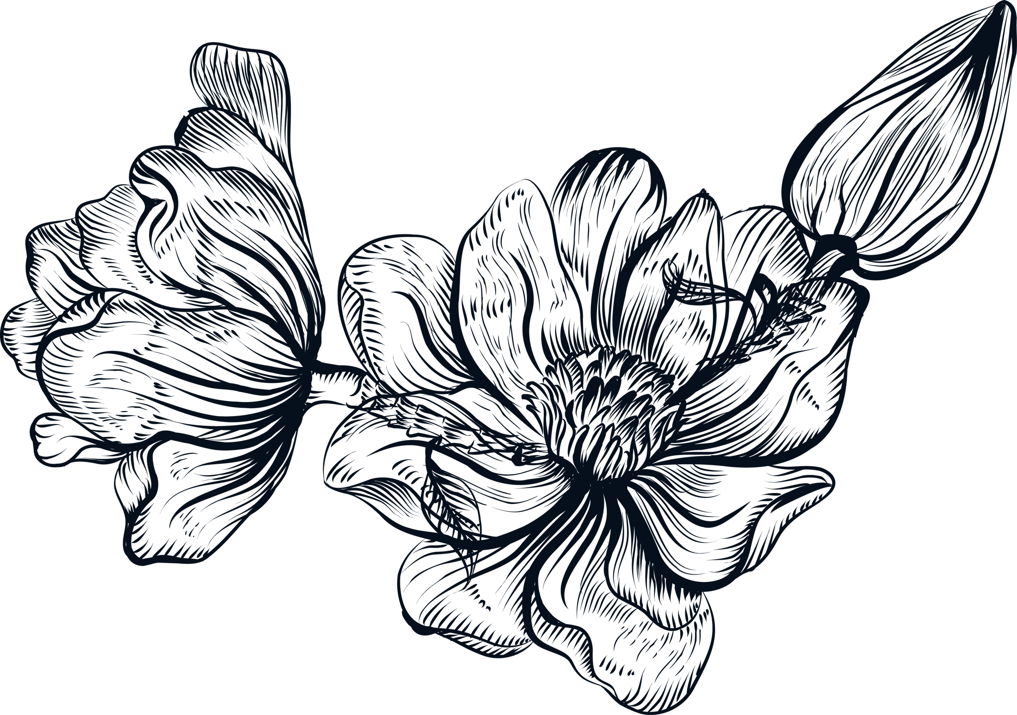 Ink Line Multi Flower