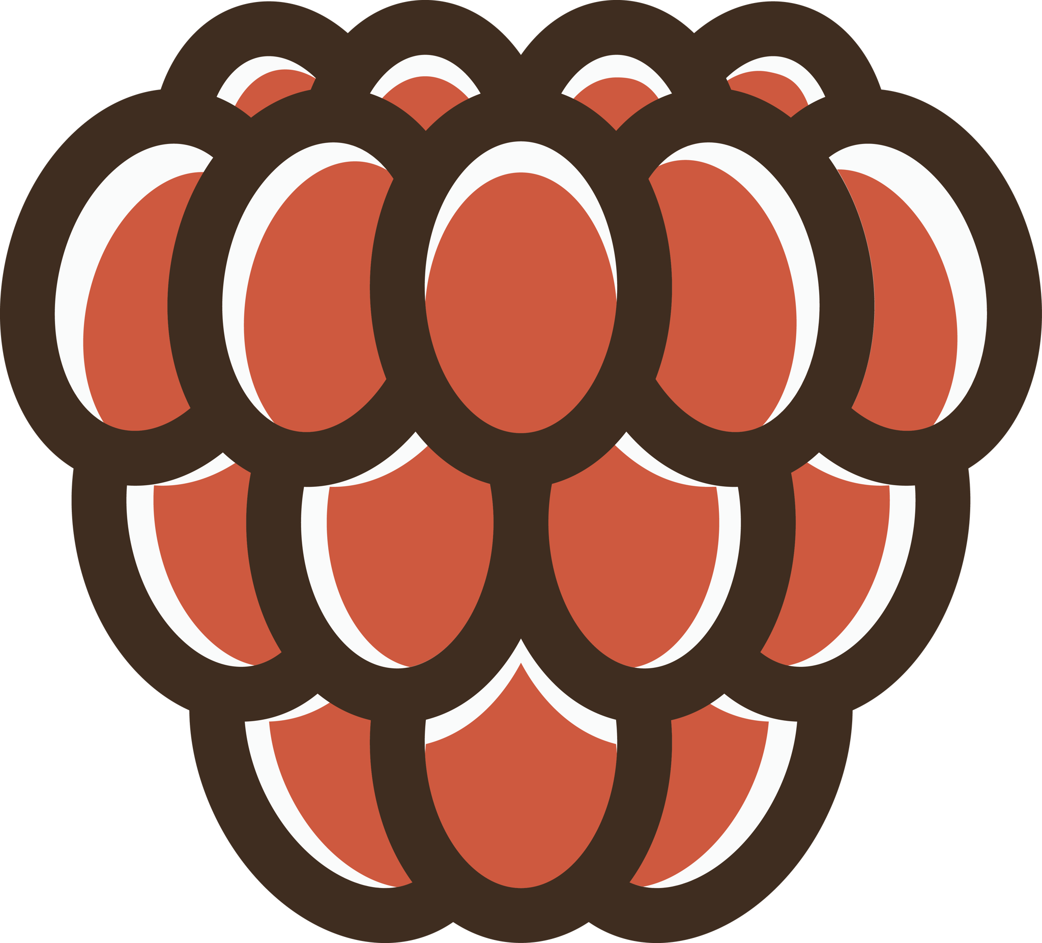 Raspberry