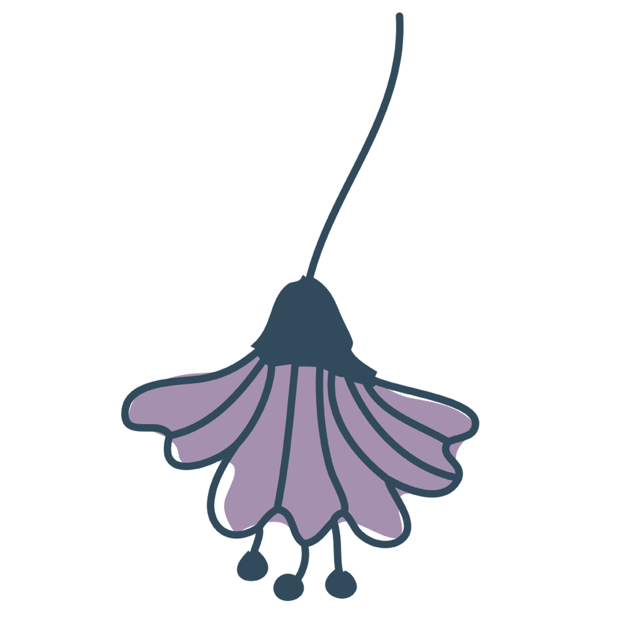 Purple Drop Flower