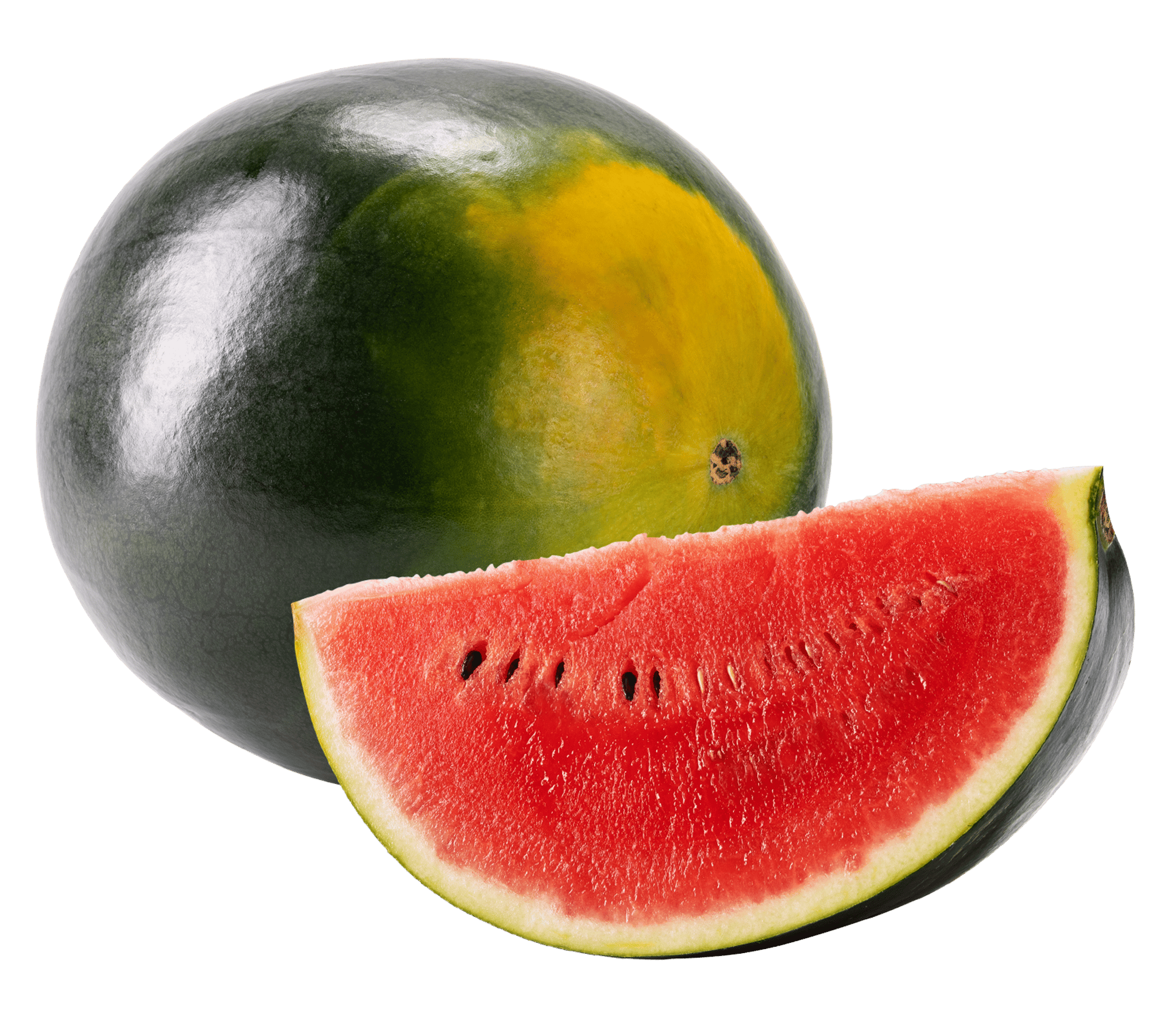 Watermelon Whole Slice 2