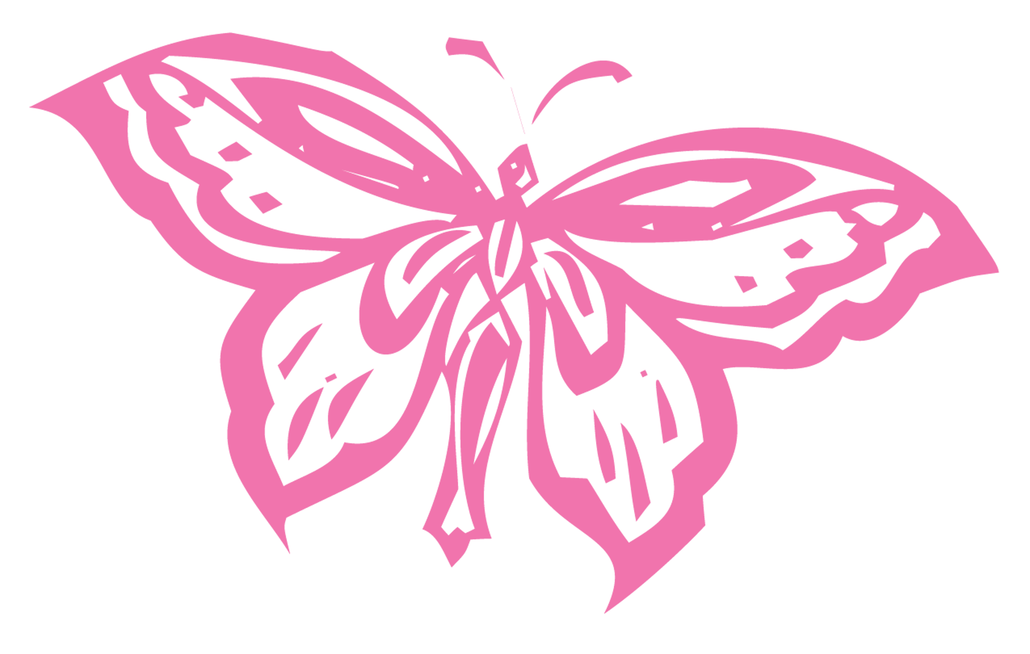 Pink Butterfly Outline