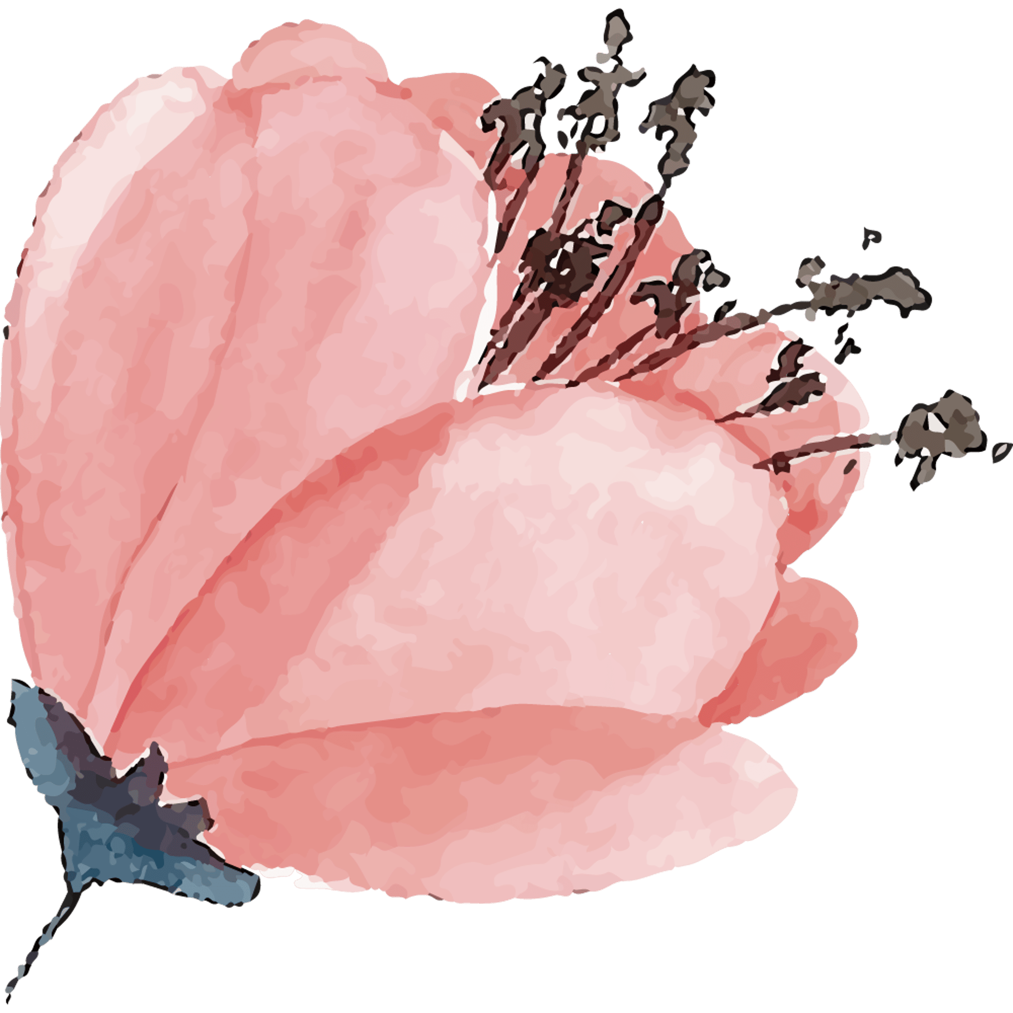 Flower Profile