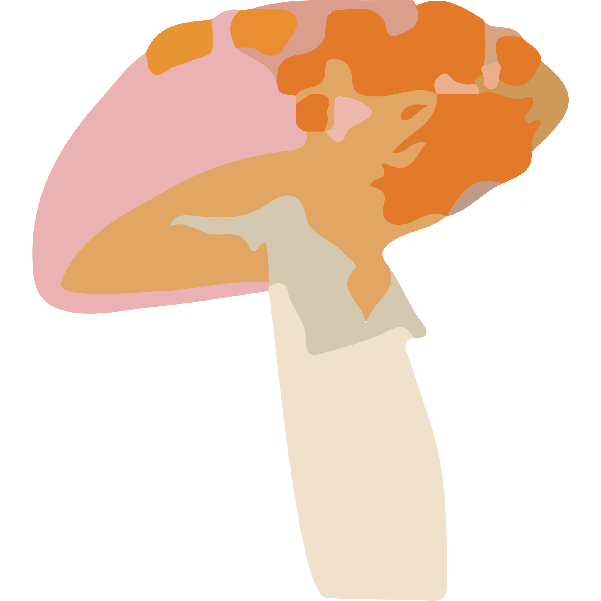 Amanita
