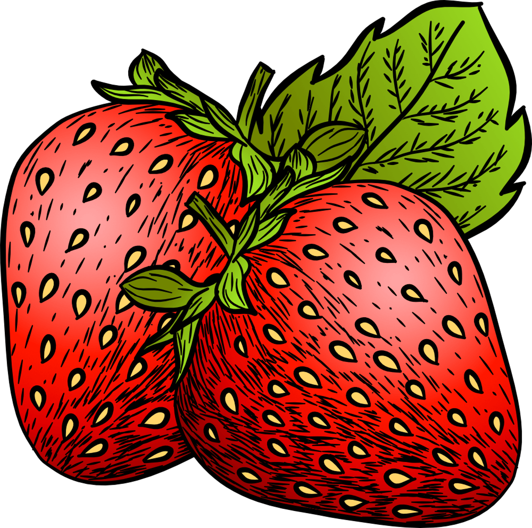 Strawberry Illustration
