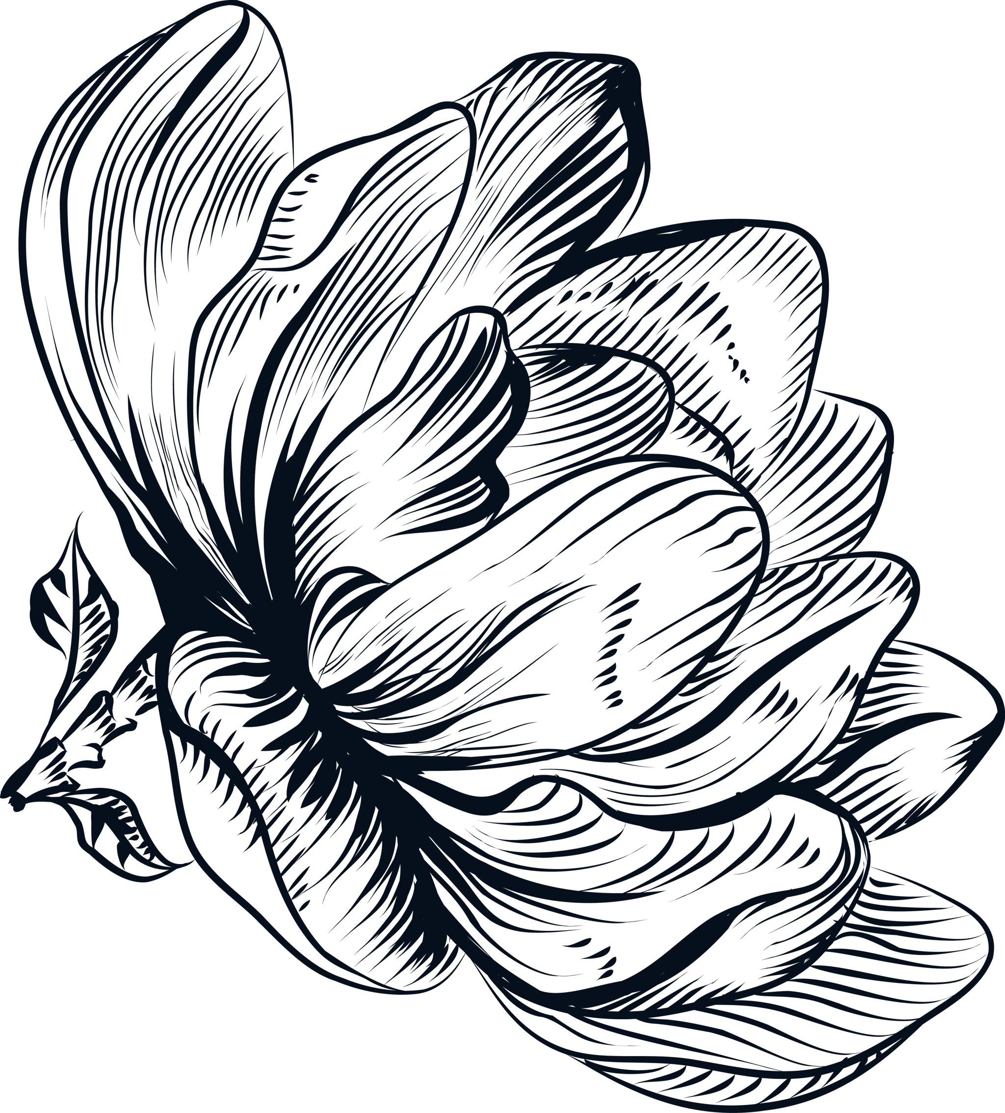 Ink Line Flower Left Side