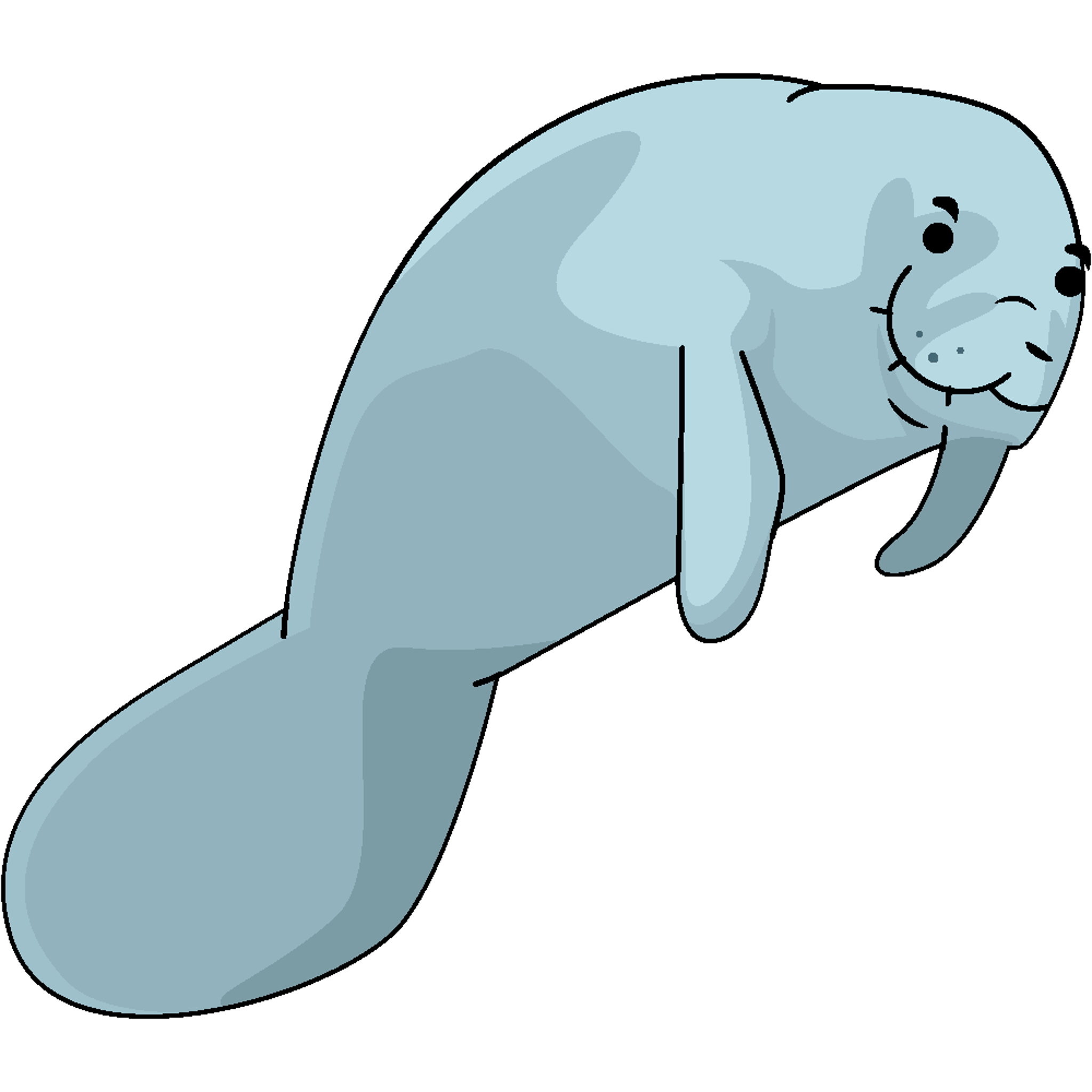 Floating Manatee