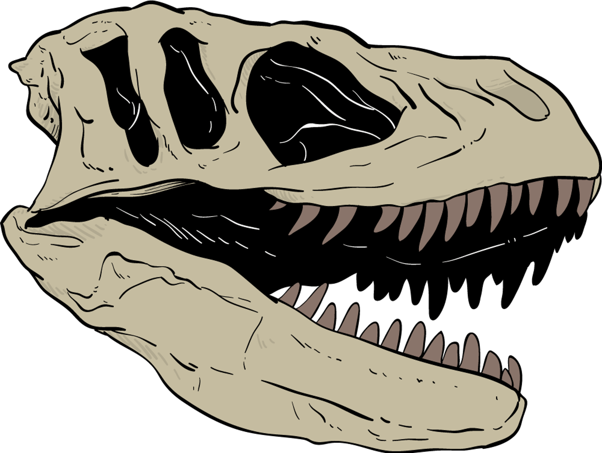 T-Rex Dinosaur Skull