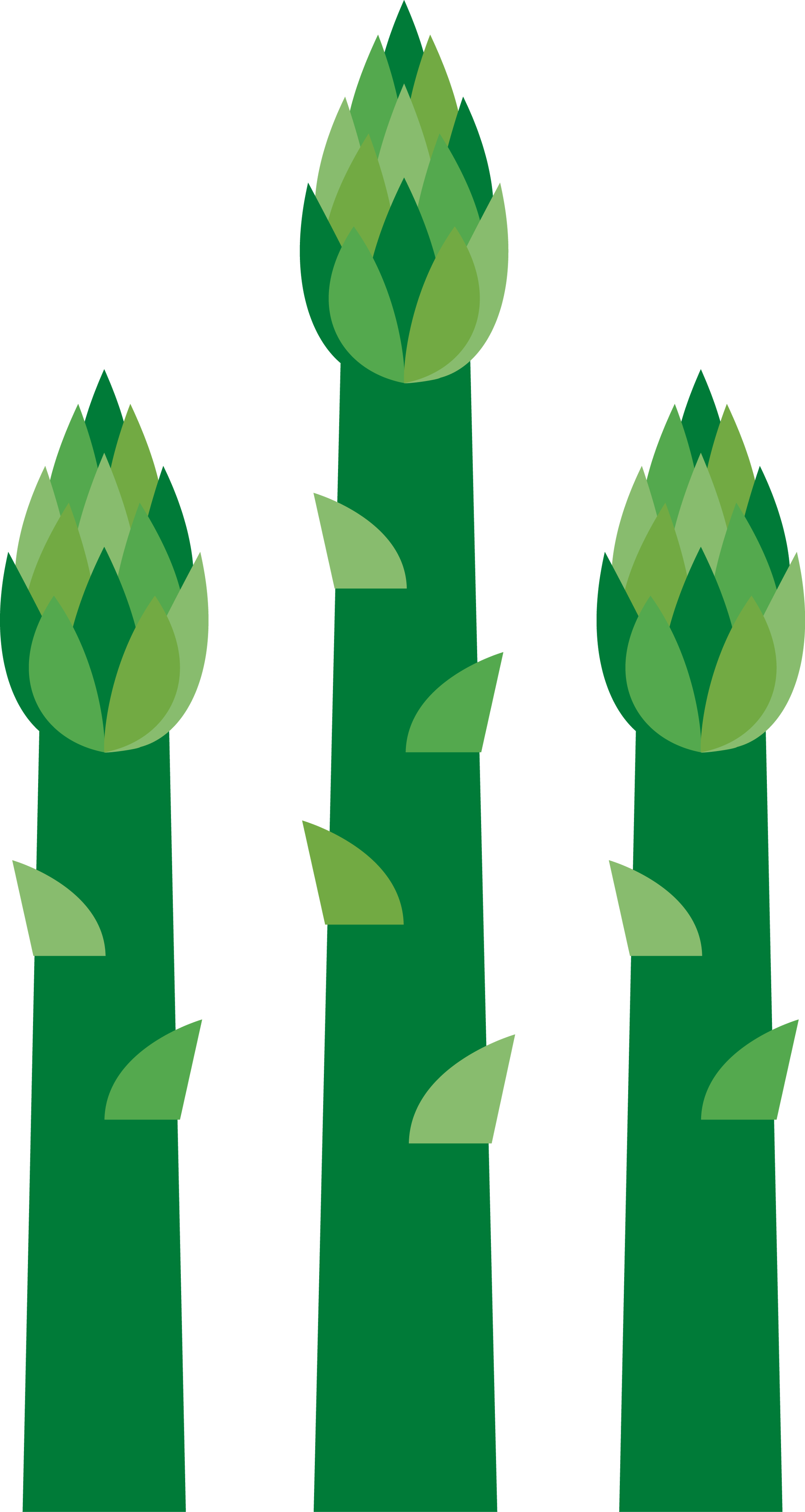 Asparagus