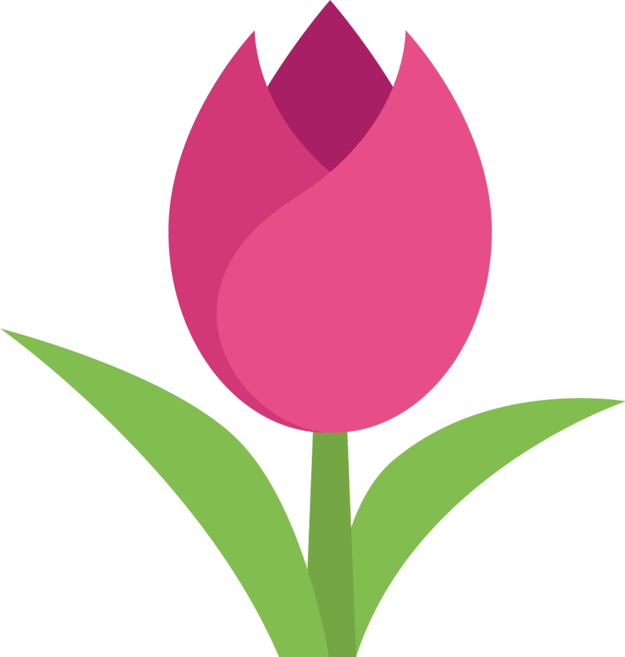 Pink Tulip Flower Stem