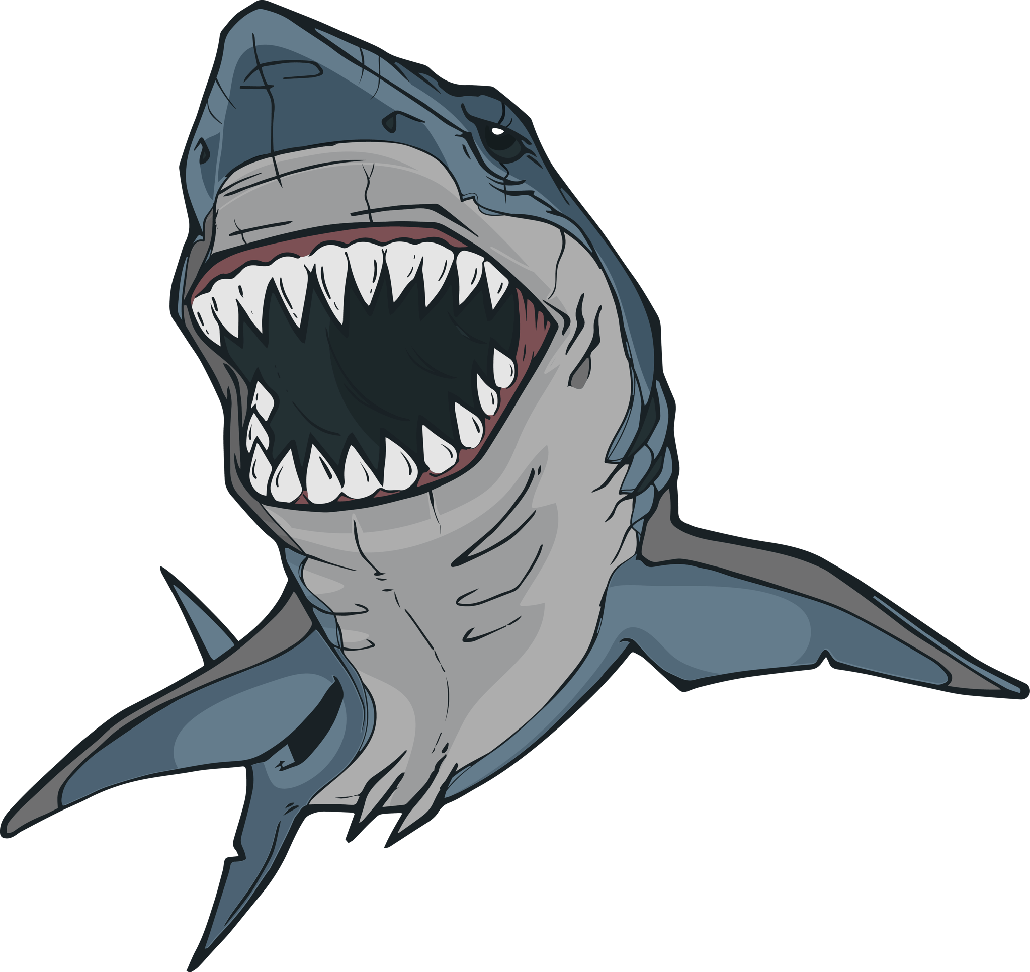 Shark 1
