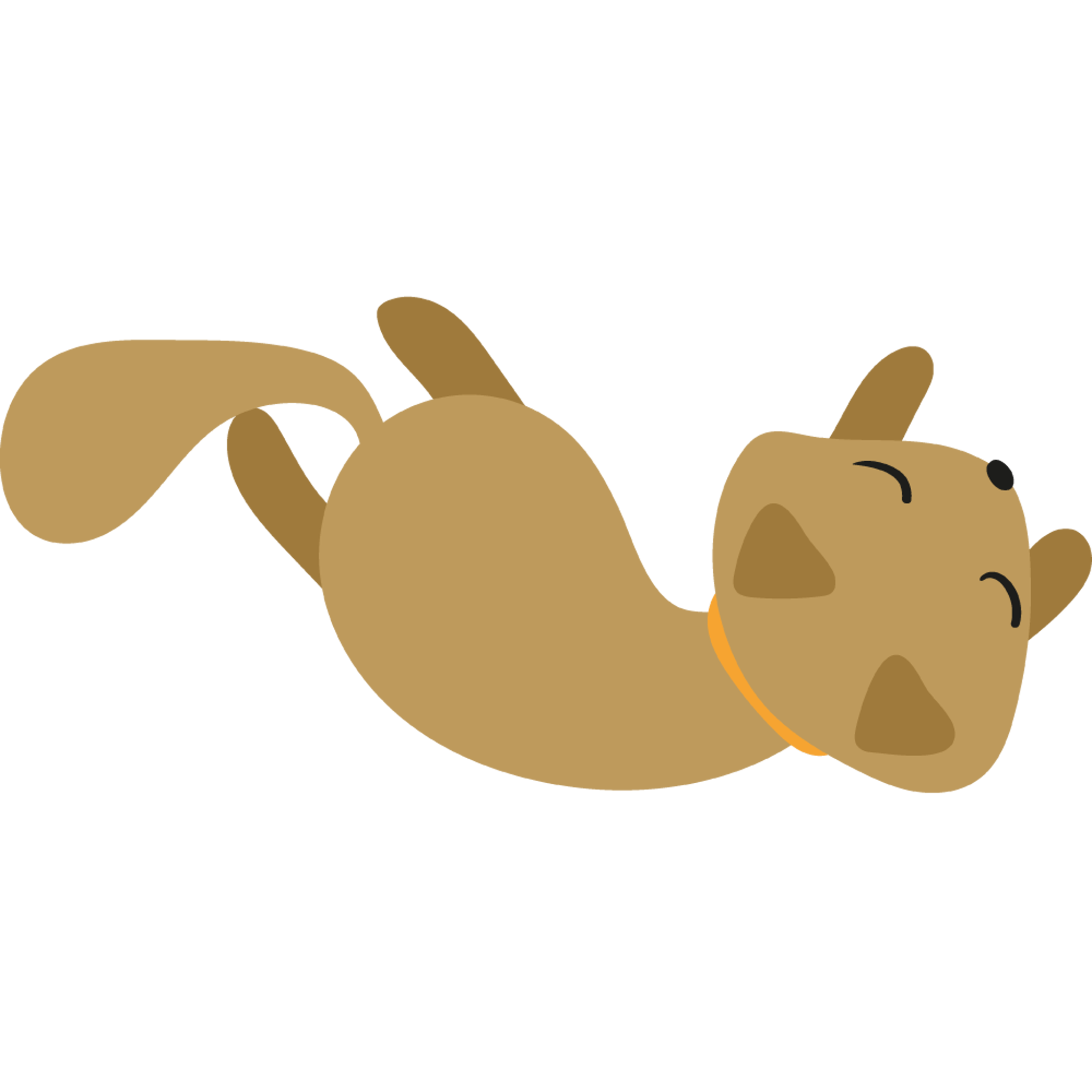Rolling Cat