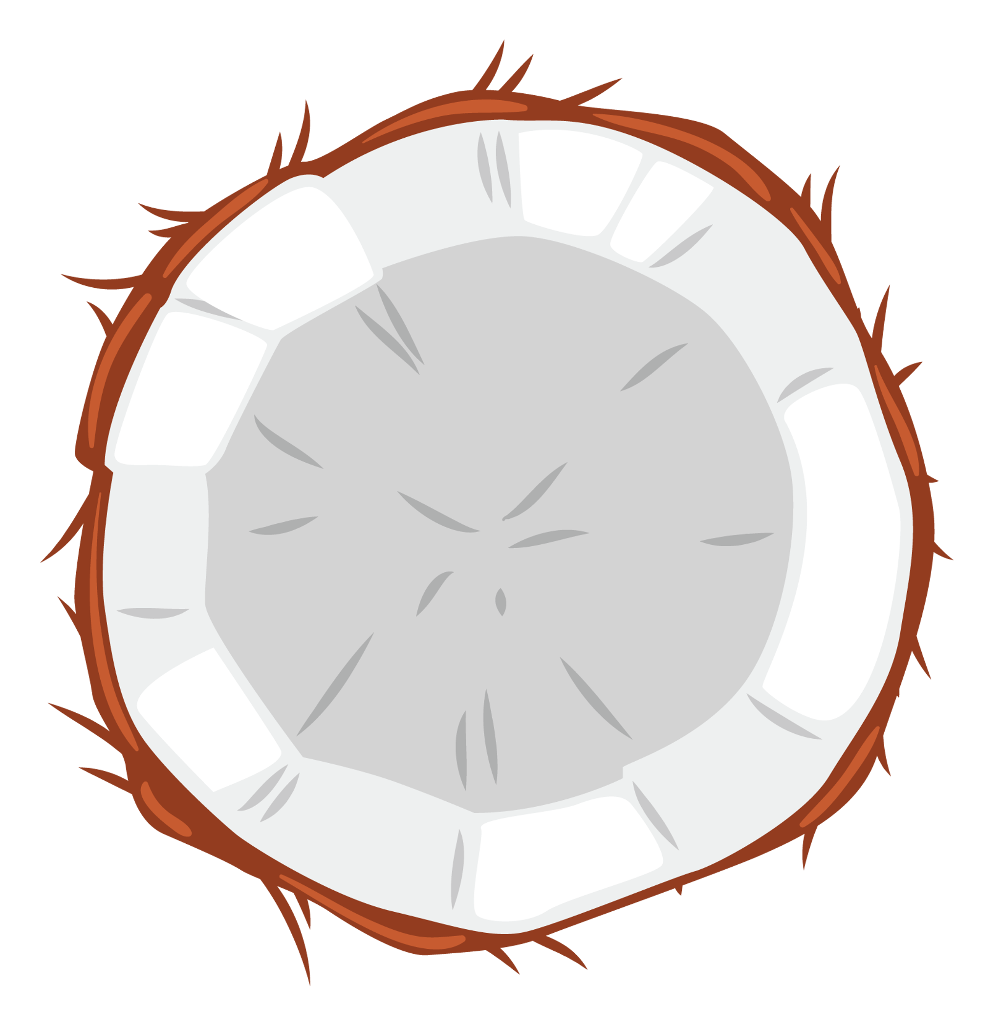 Coconut