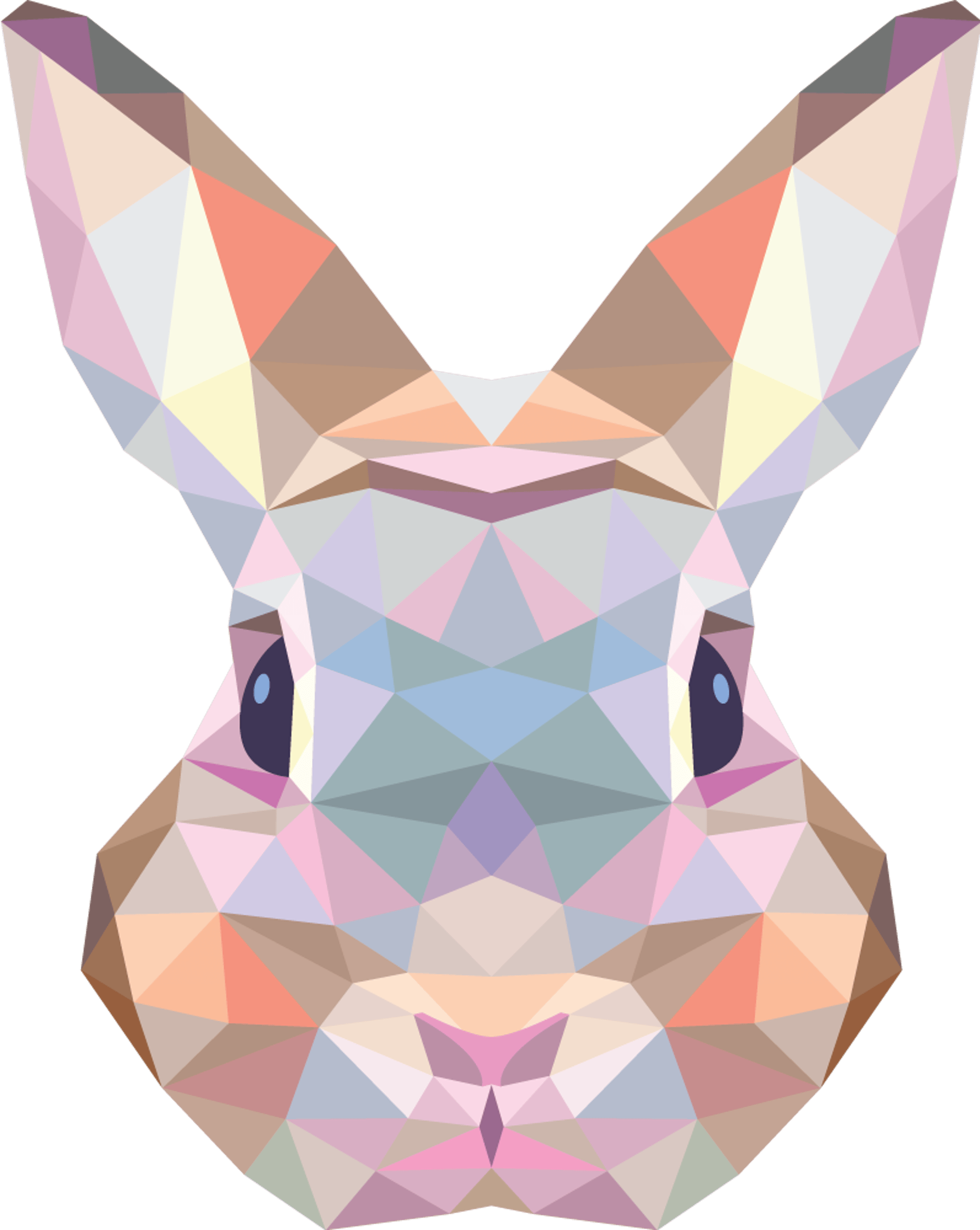 Geometic Bunny