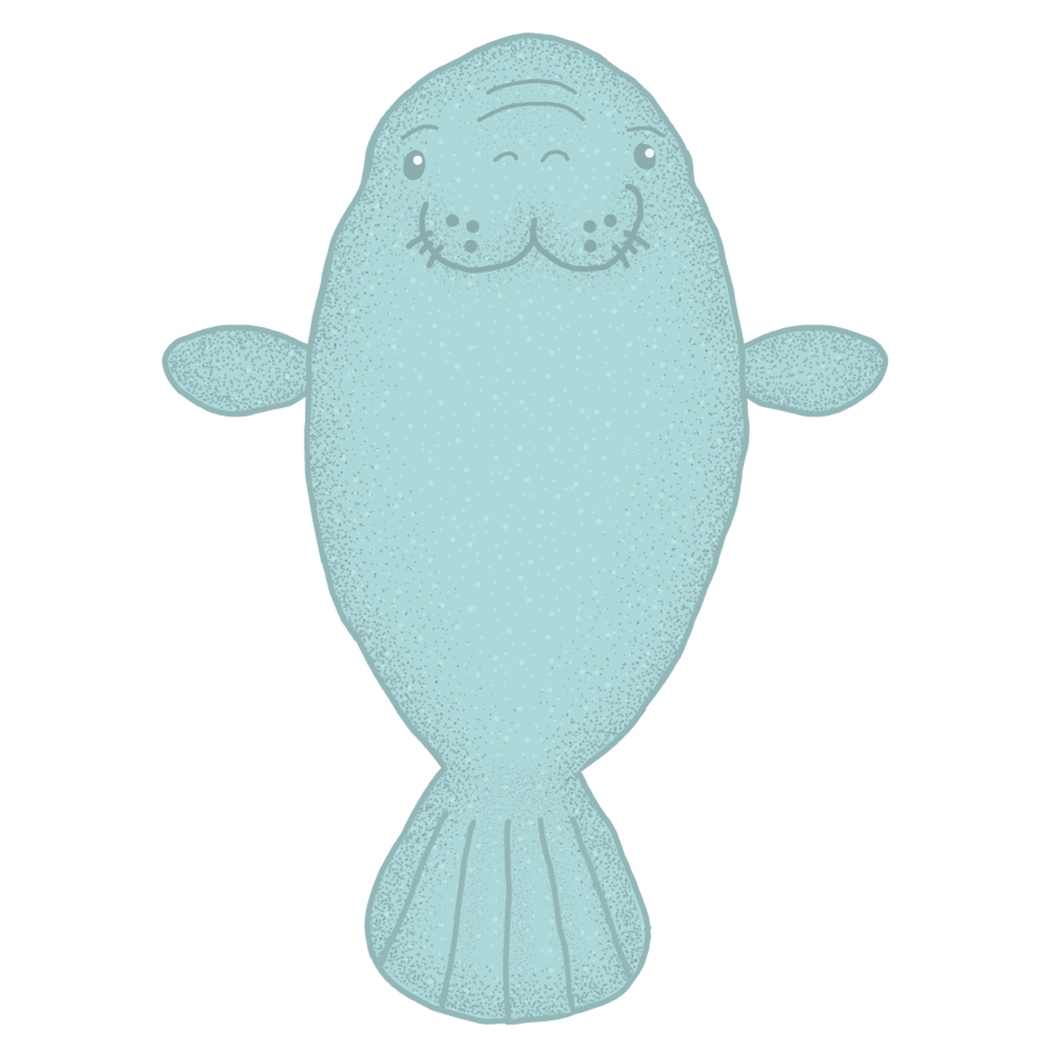 manatee 4