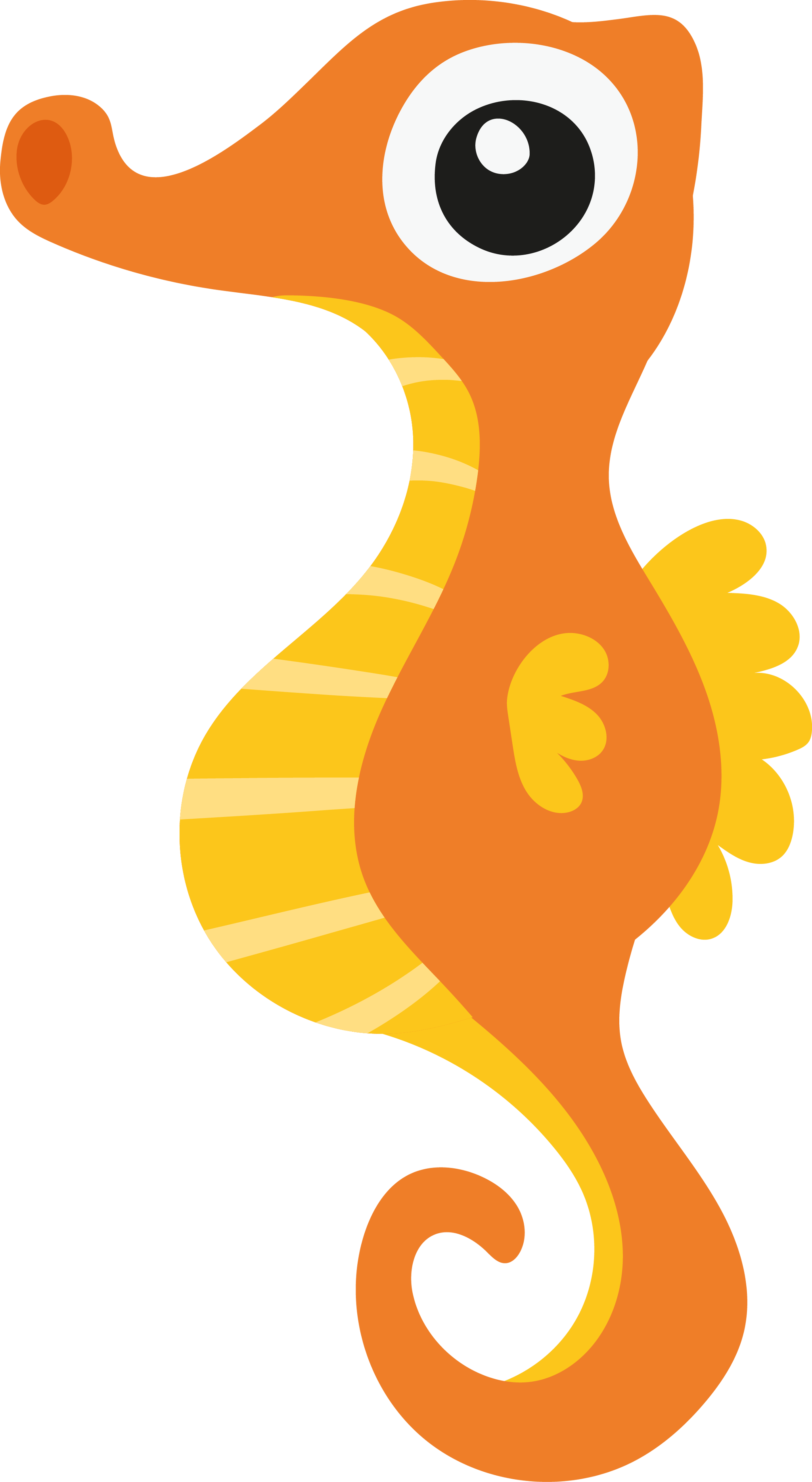 Seahorse