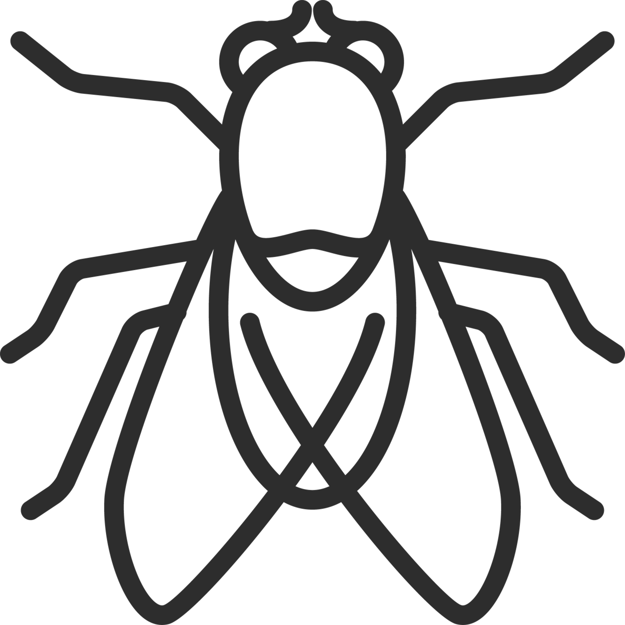 Fly Outline