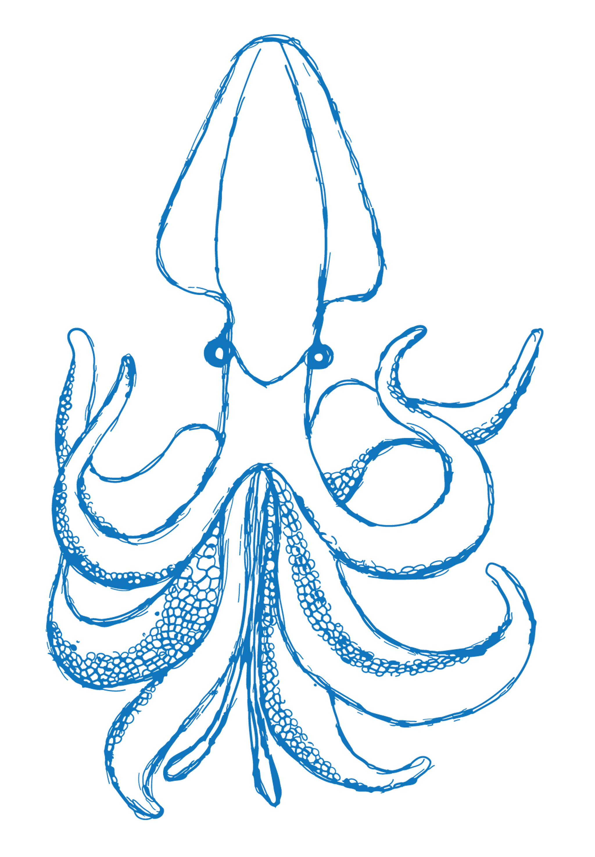 giant squid