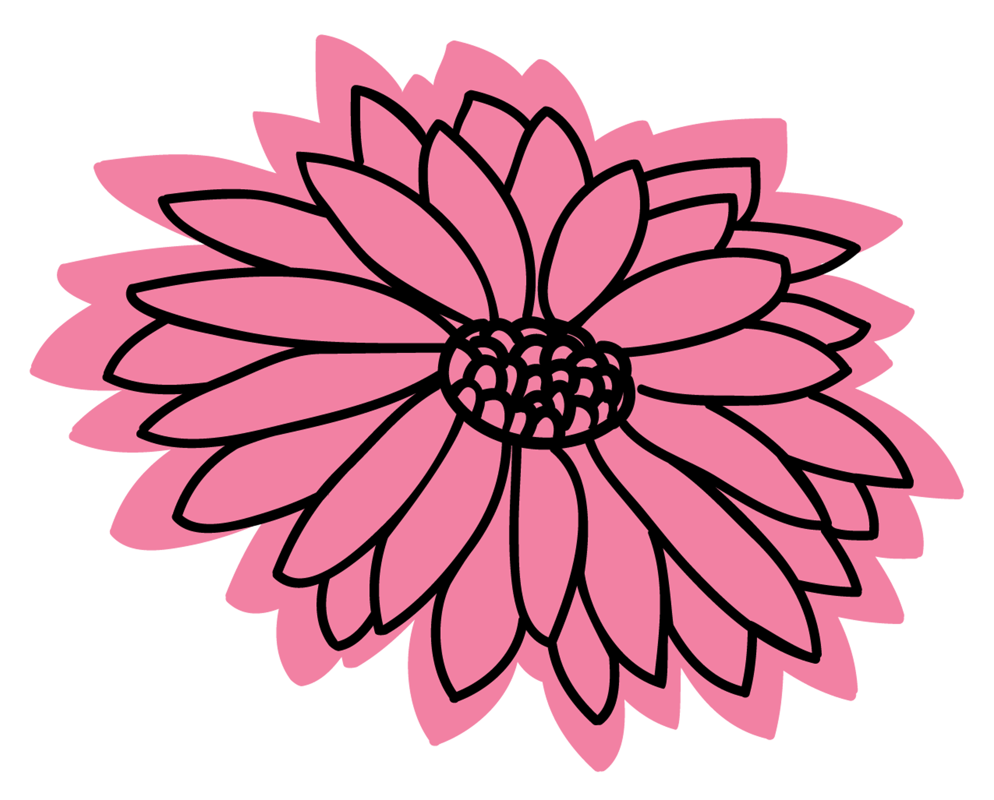 Pink Petalled Flower