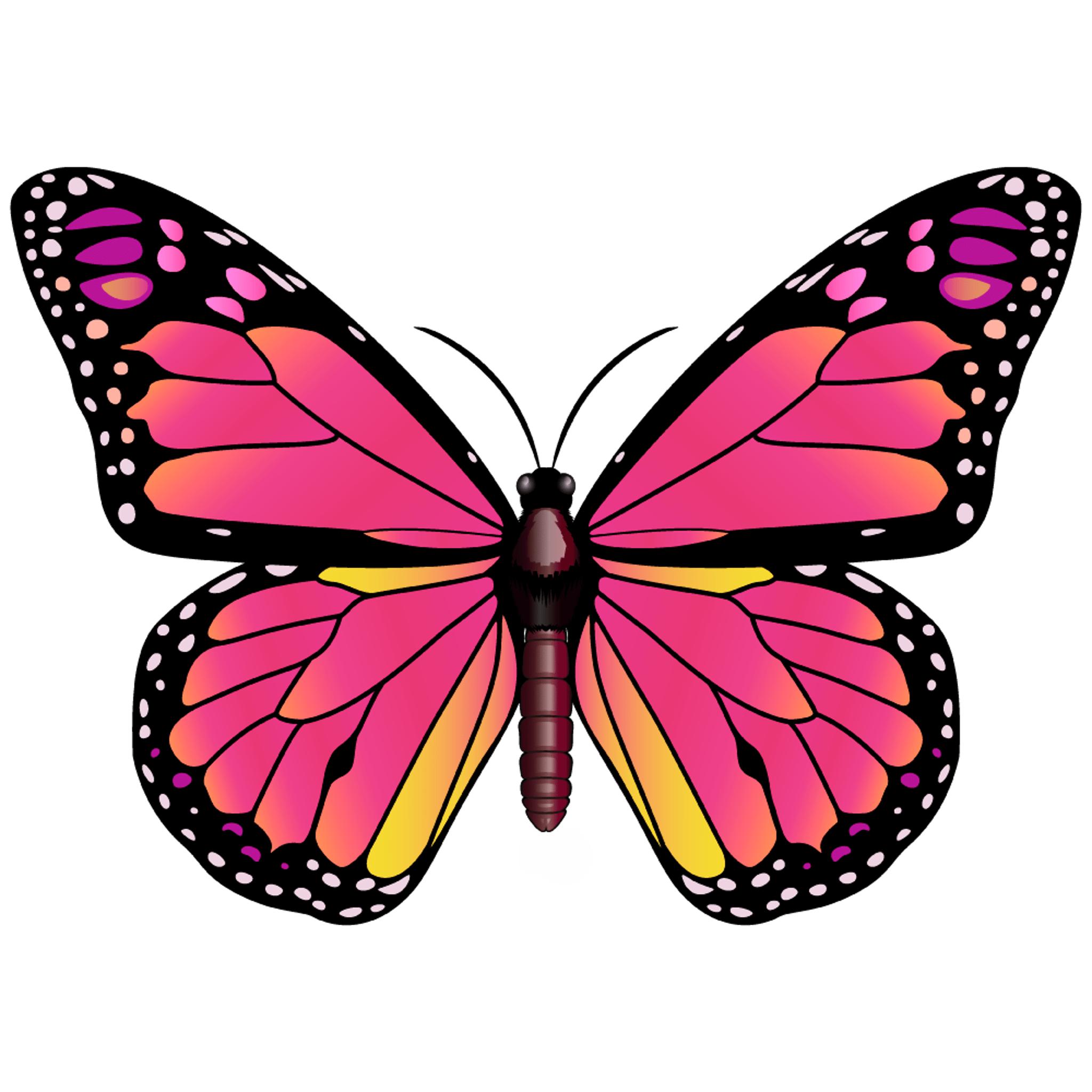 Pink Butterfly