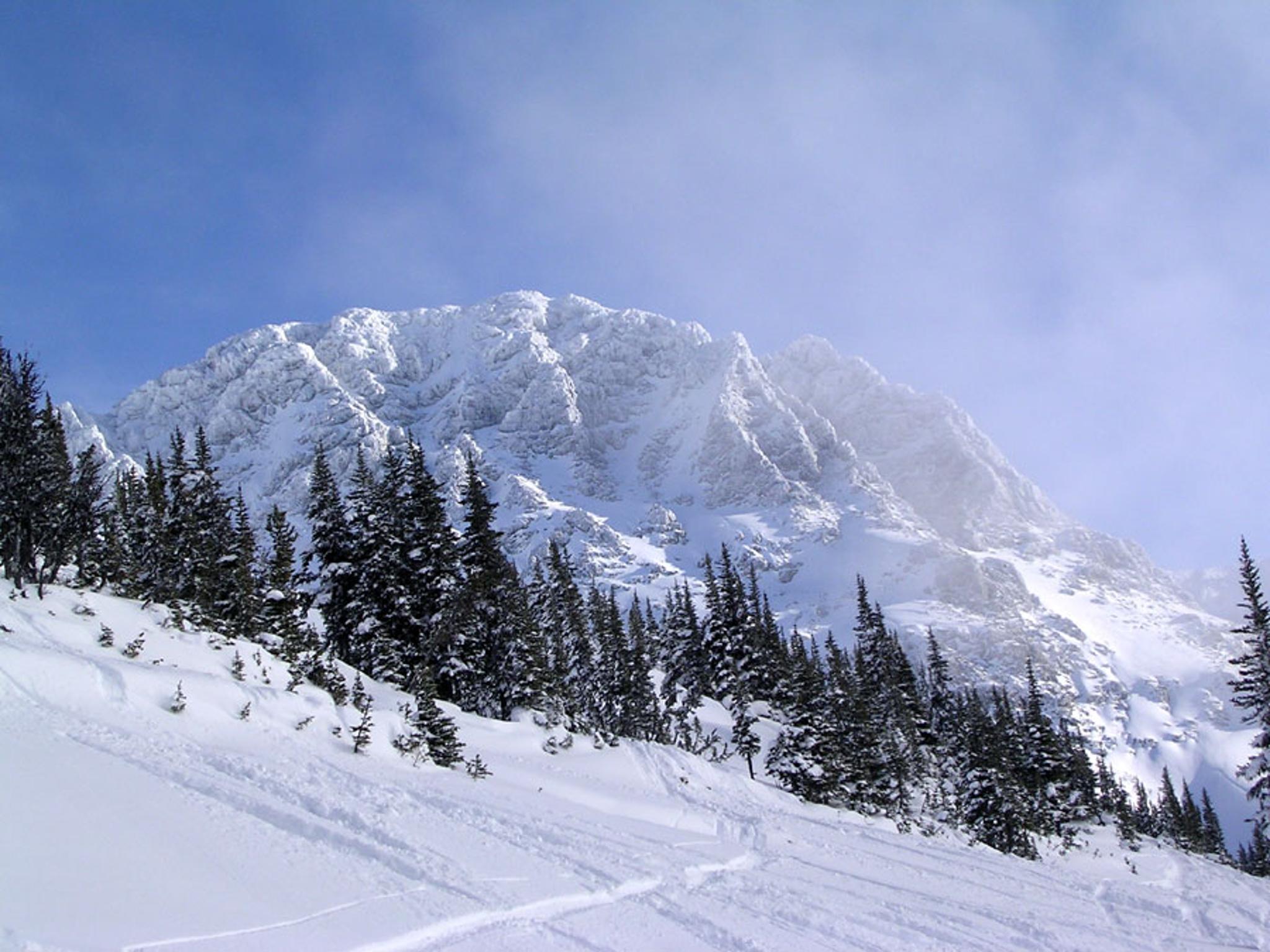 whistler1.jpg