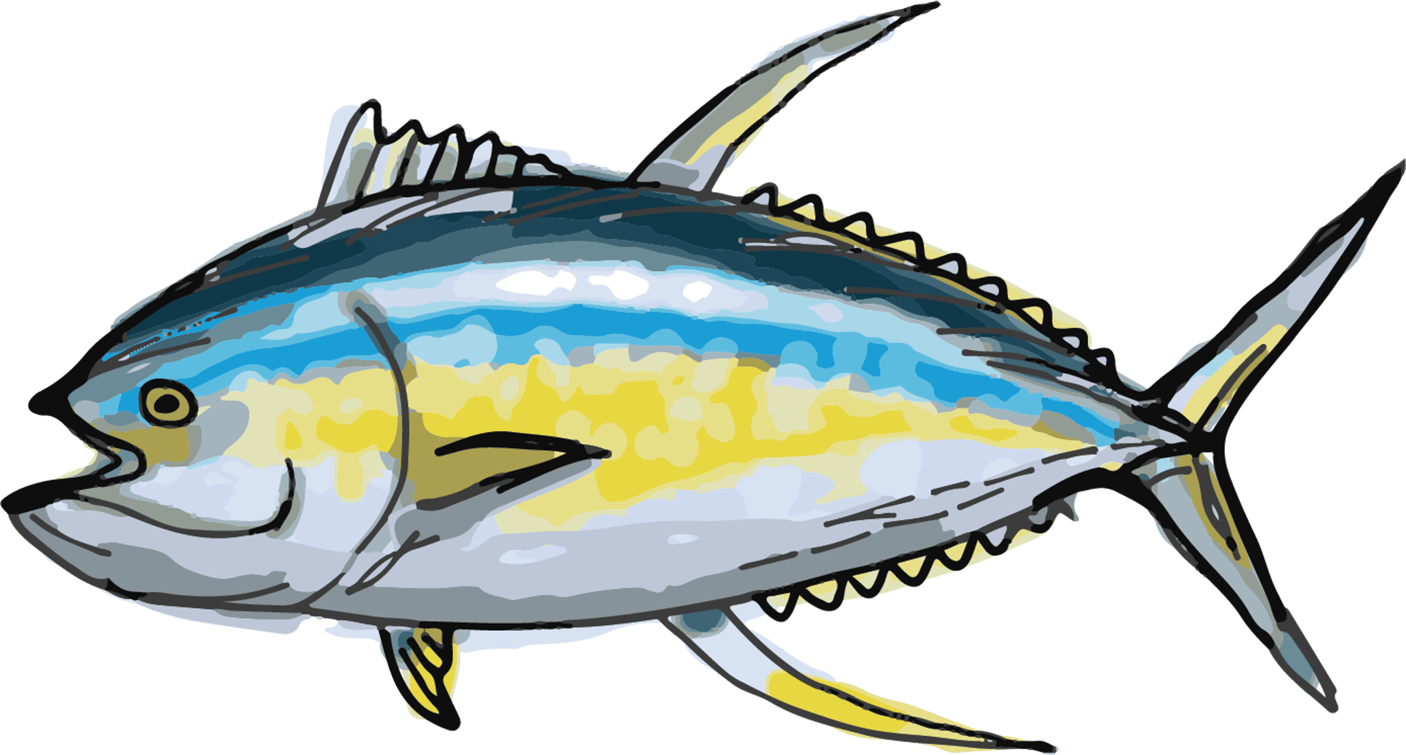 Tuna