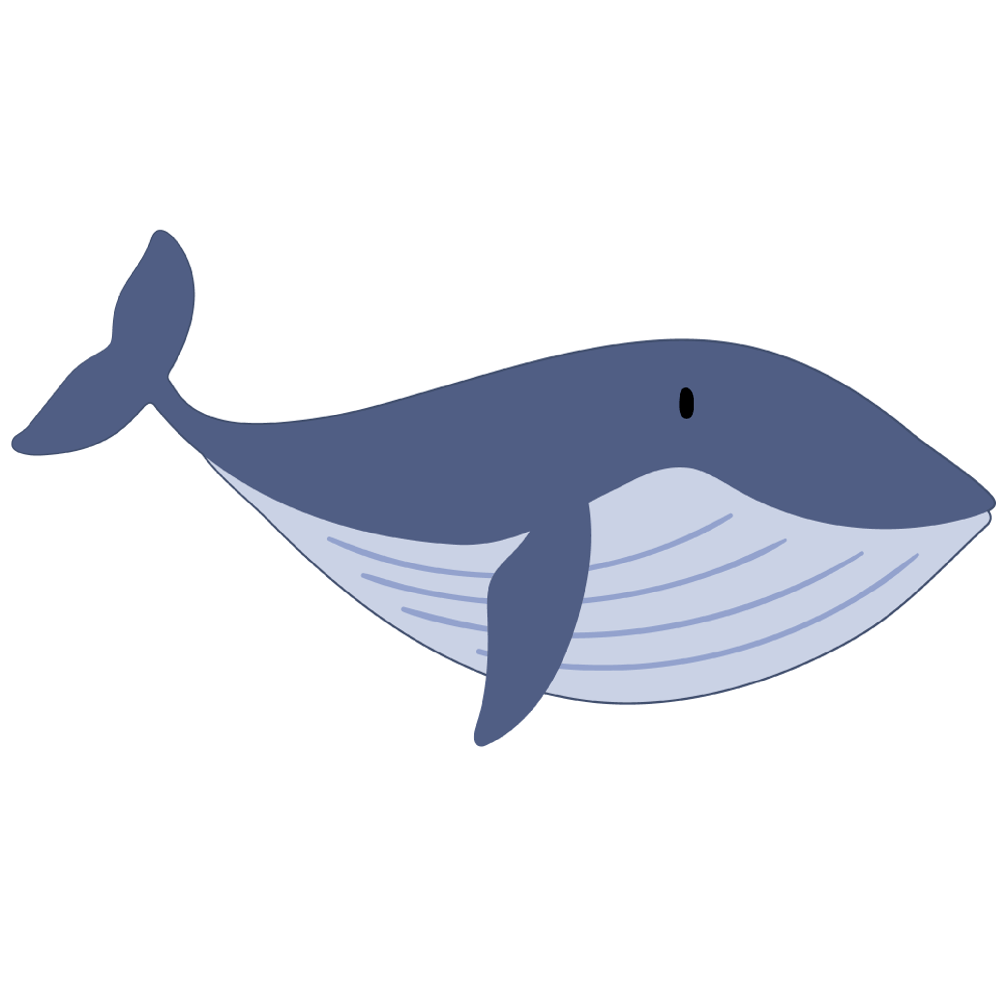 Whale