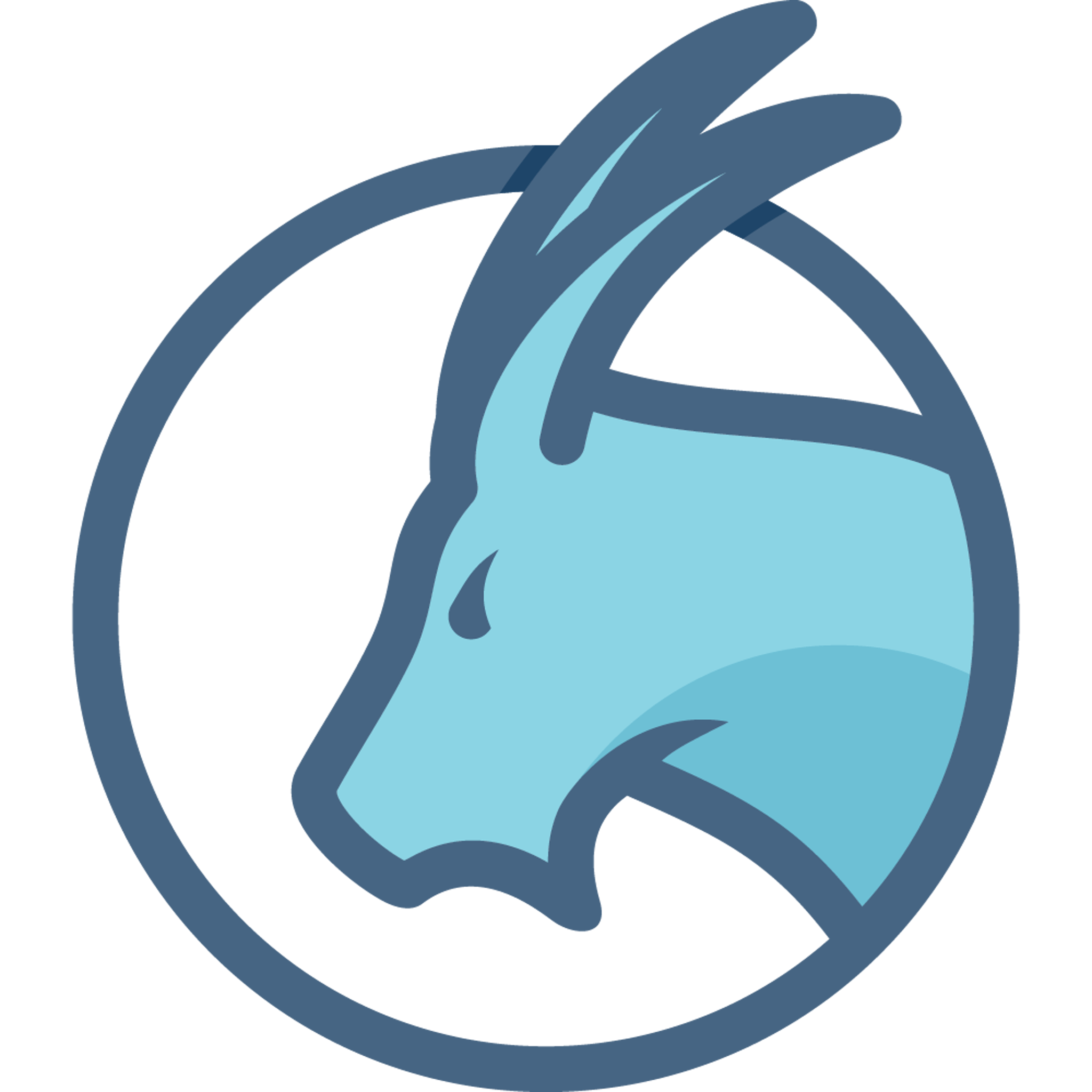 Horoscope Capricorn