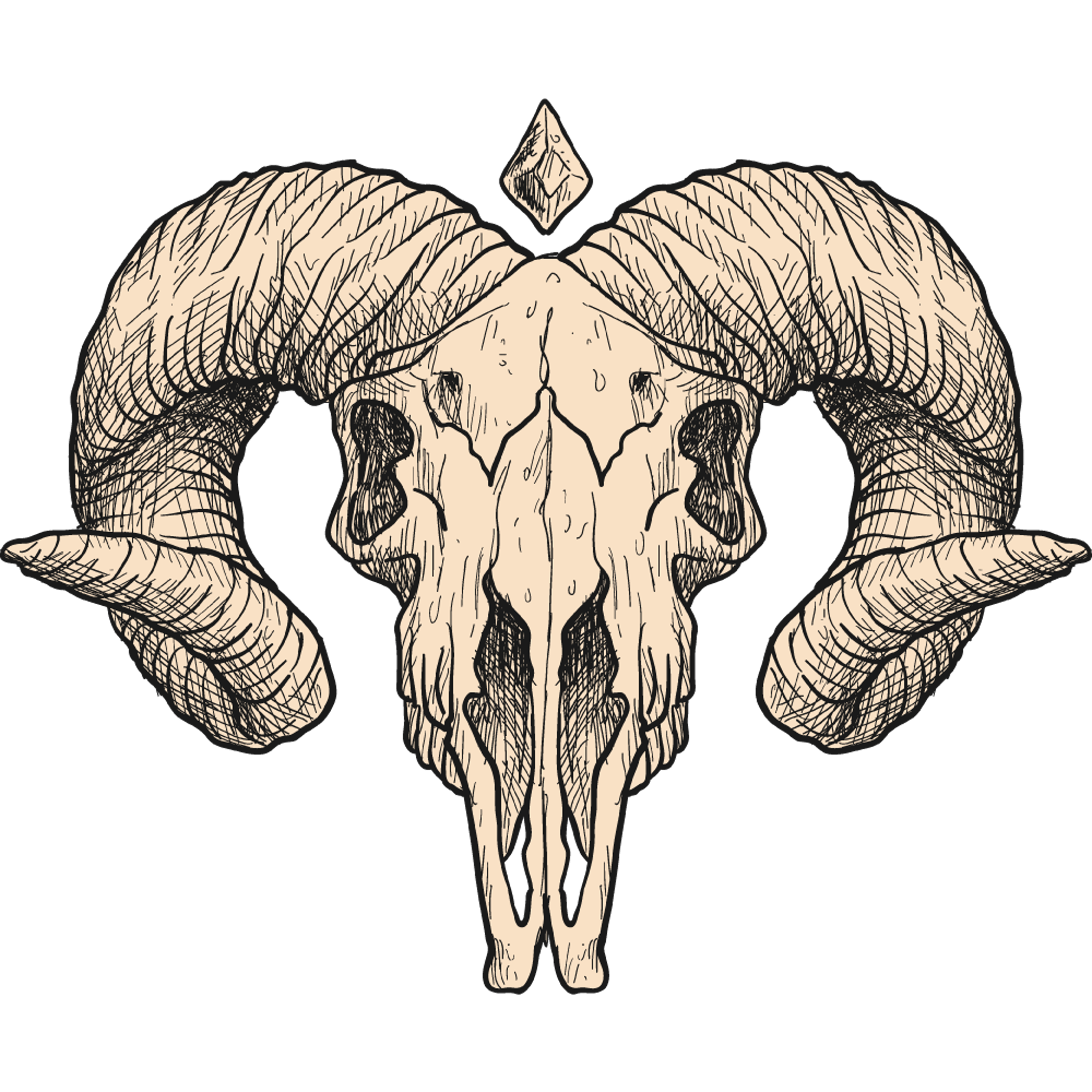 Goat Skull Sketch