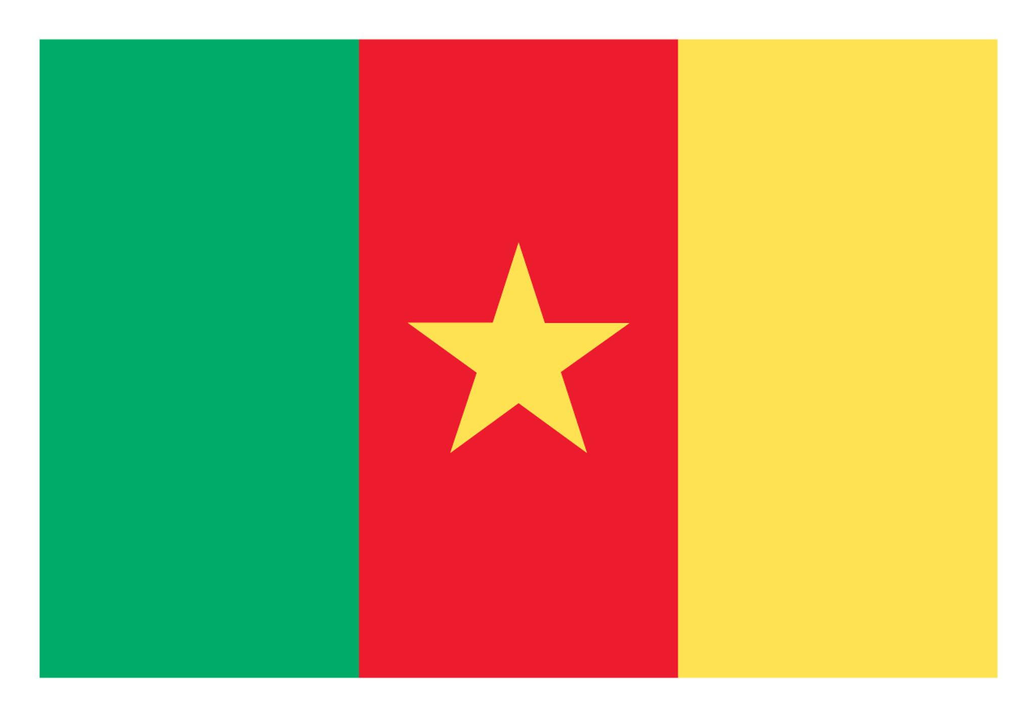 Flag of Cameroon