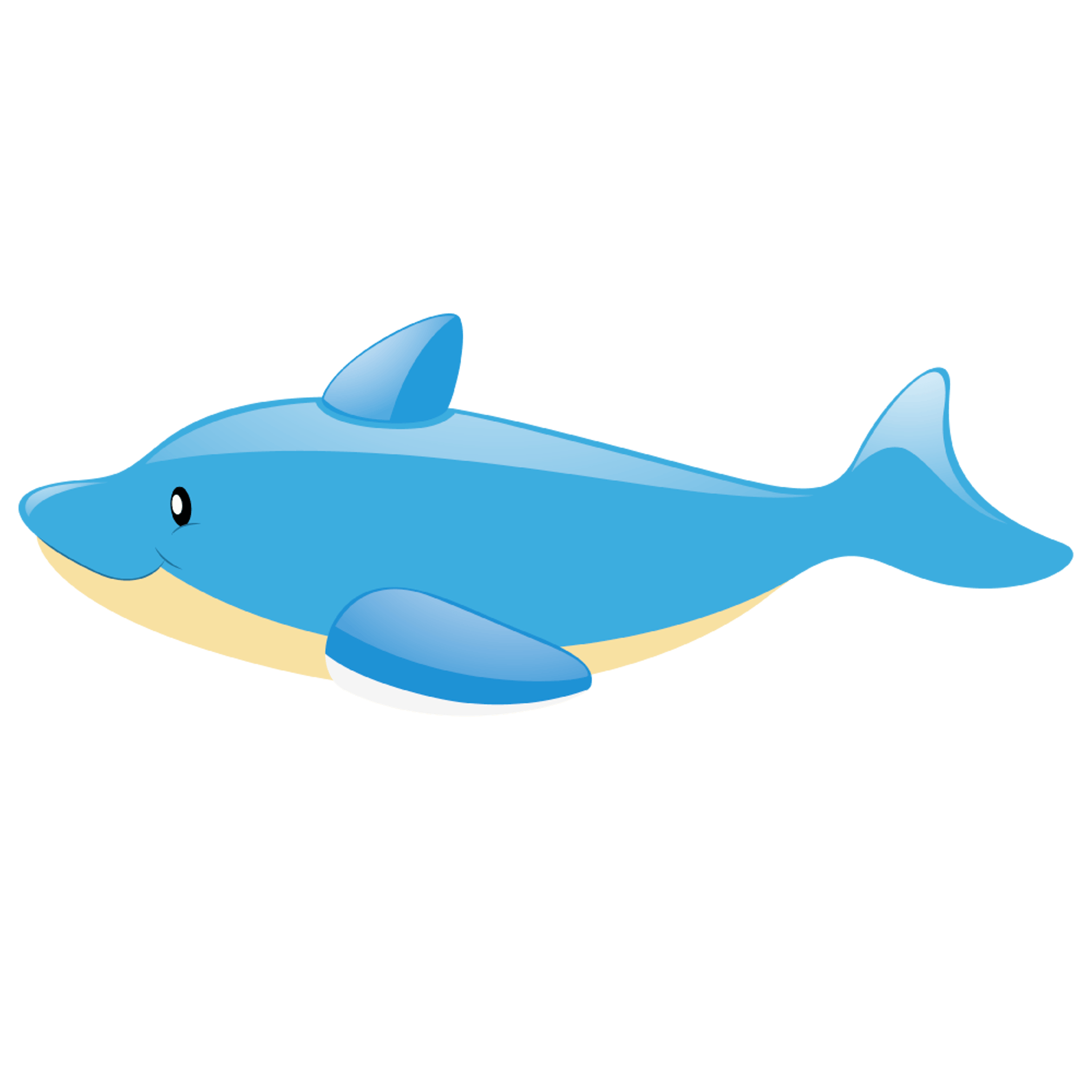 Dolphin 2