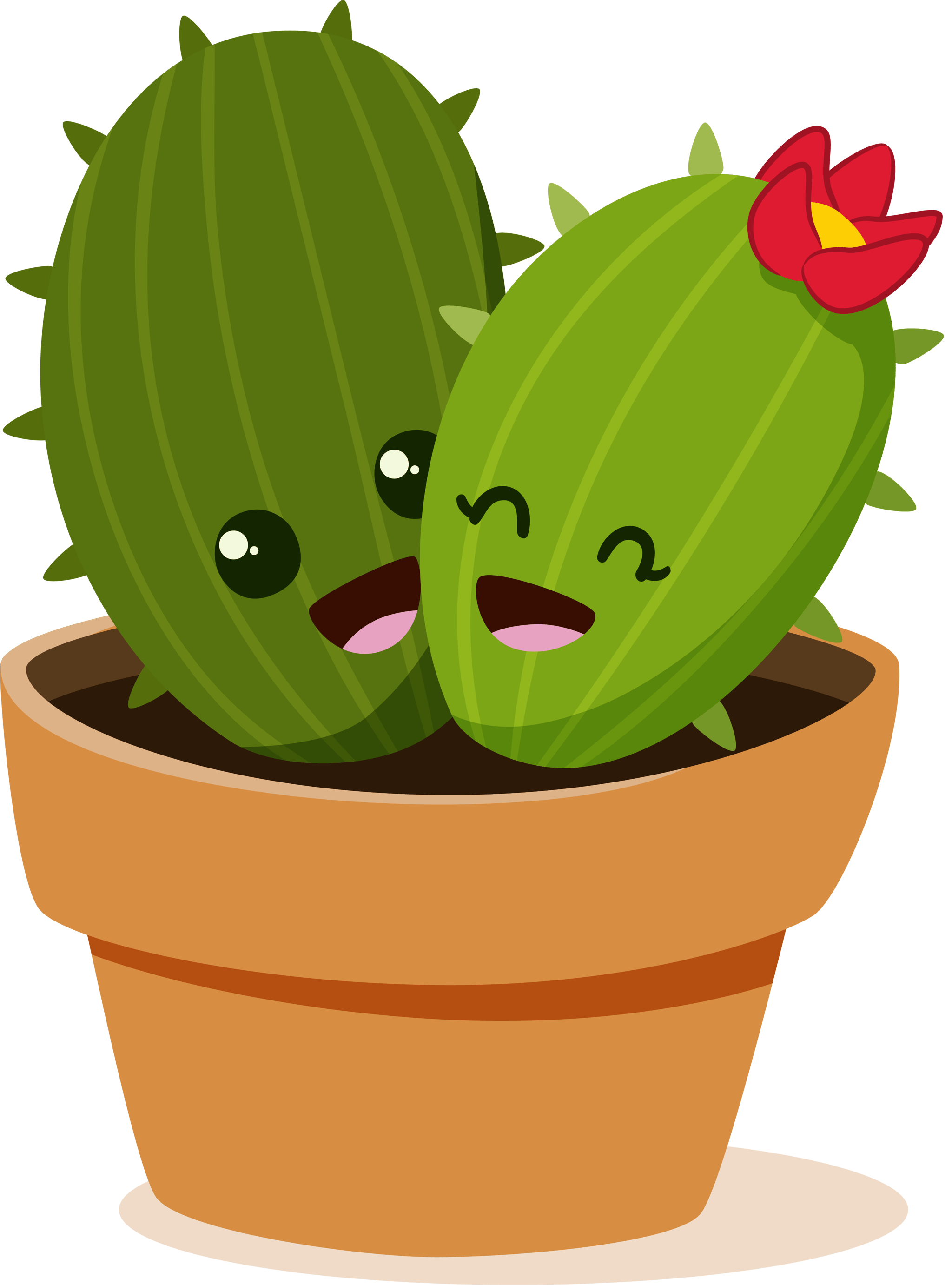 Cacti with Flower