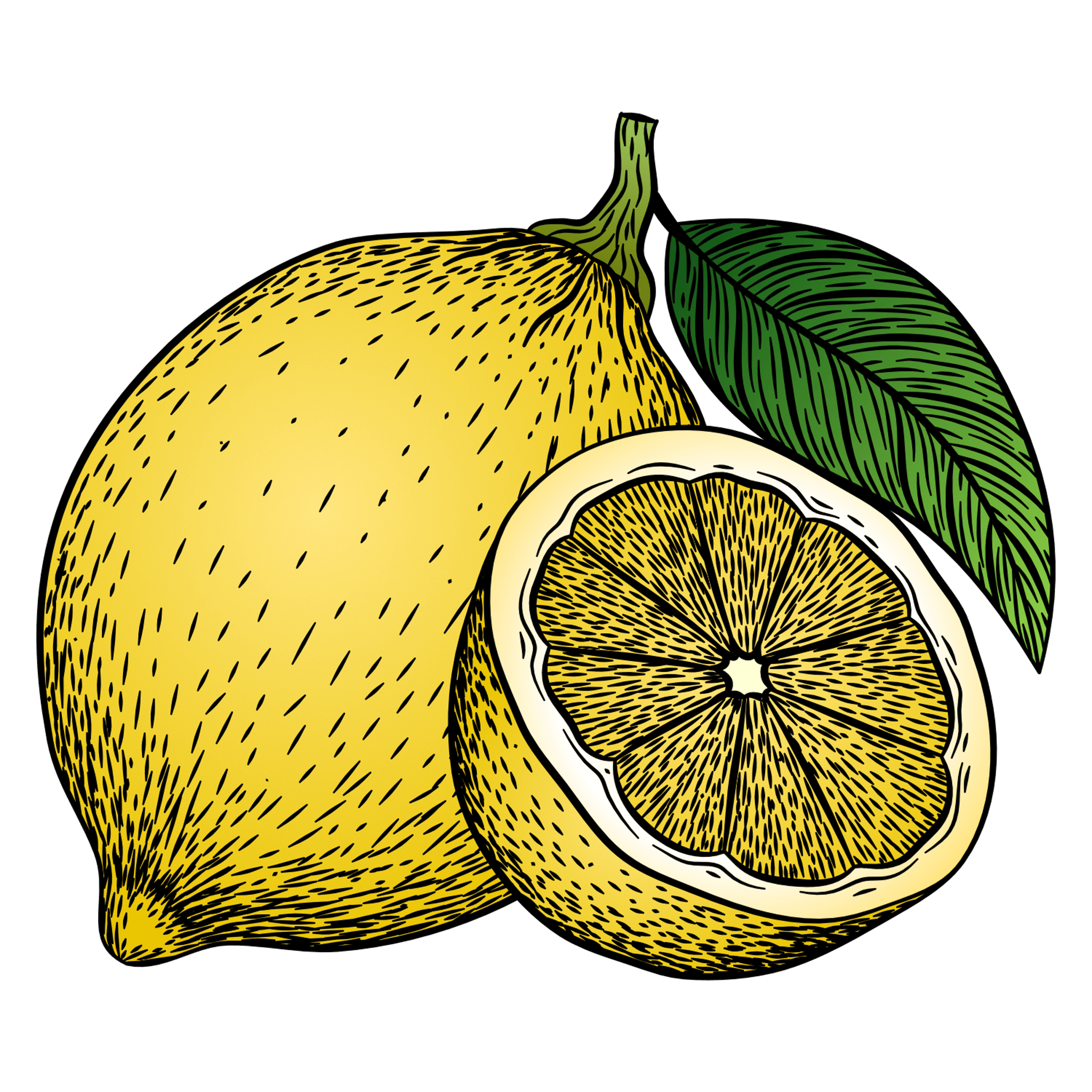 Lemon Illustration