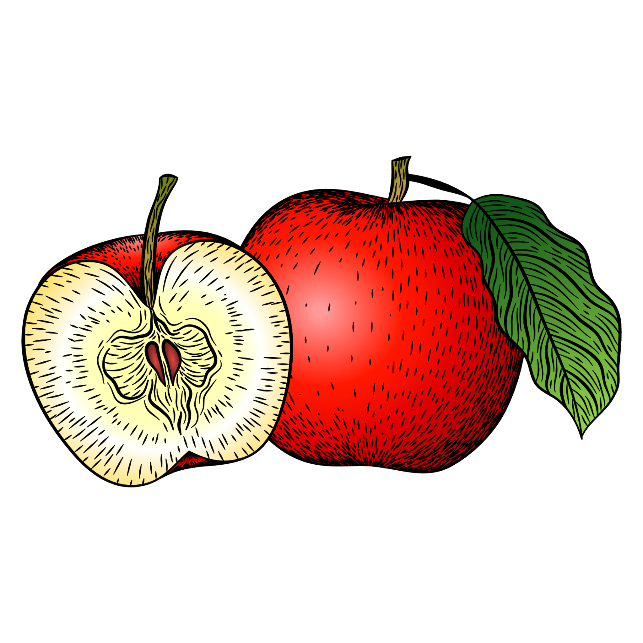Apple Illustration