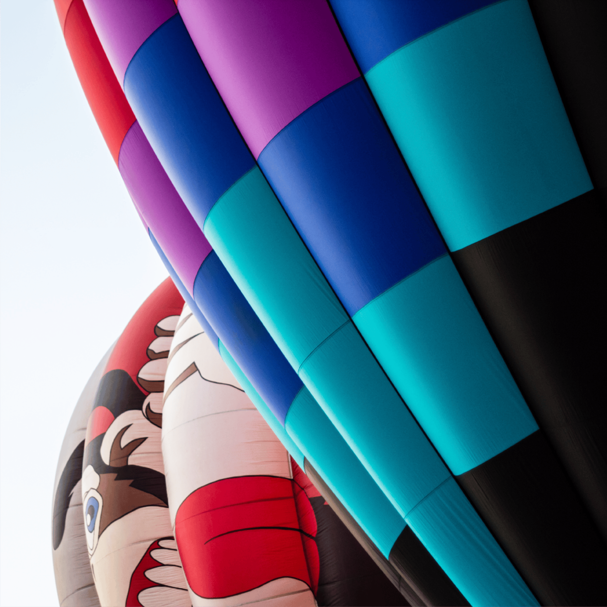 Hot Air Balloons