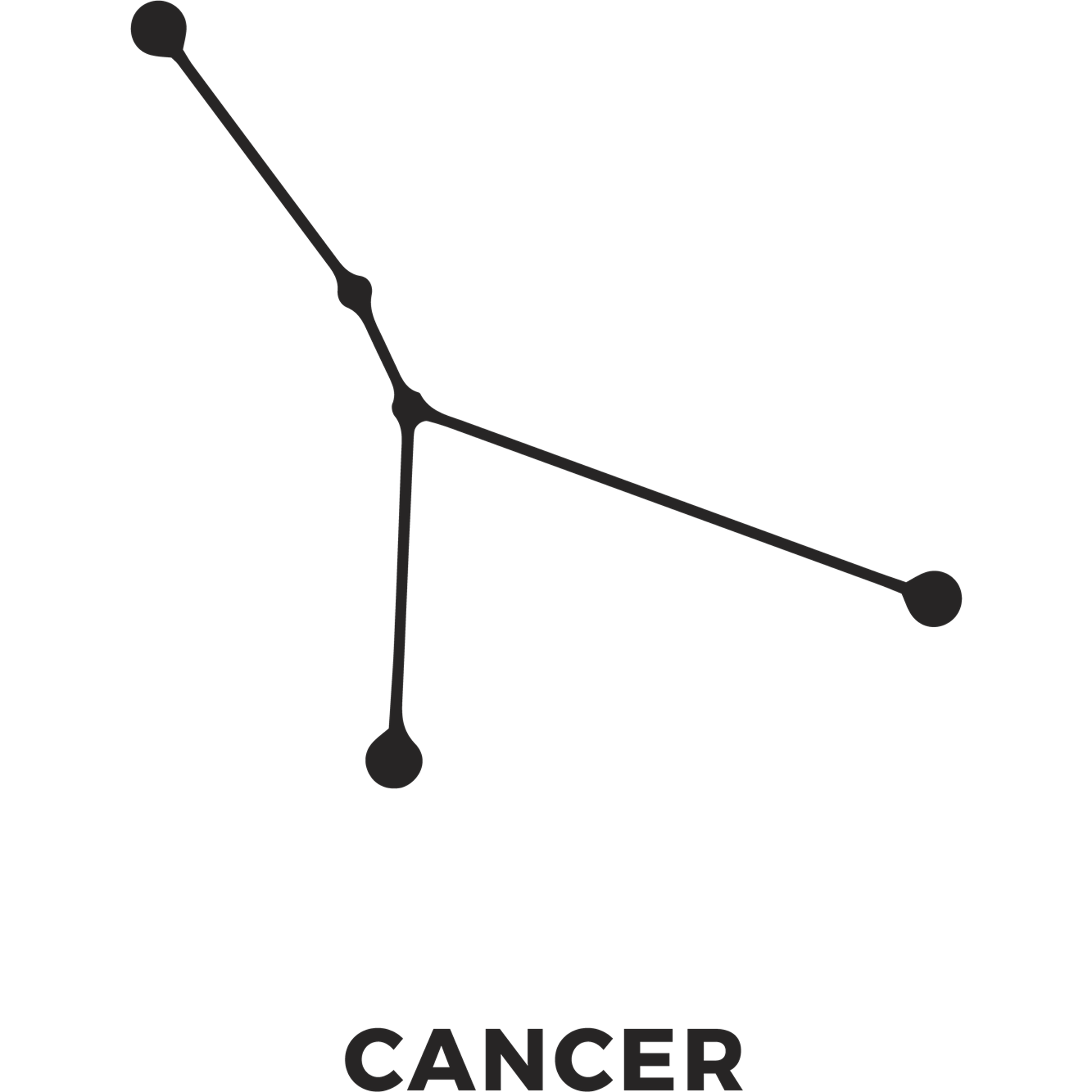 Zodiac Stars Cancer
